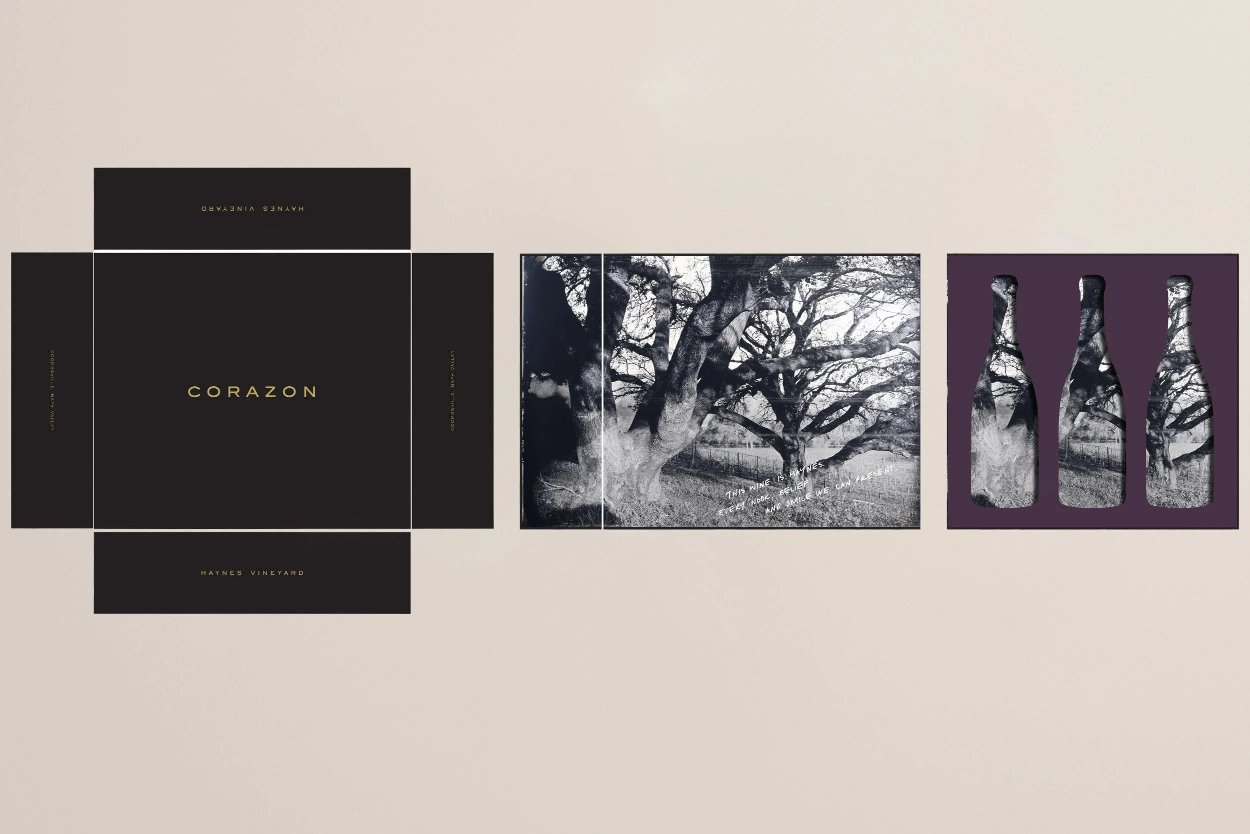 Haynes Corazon Packaging.jpg