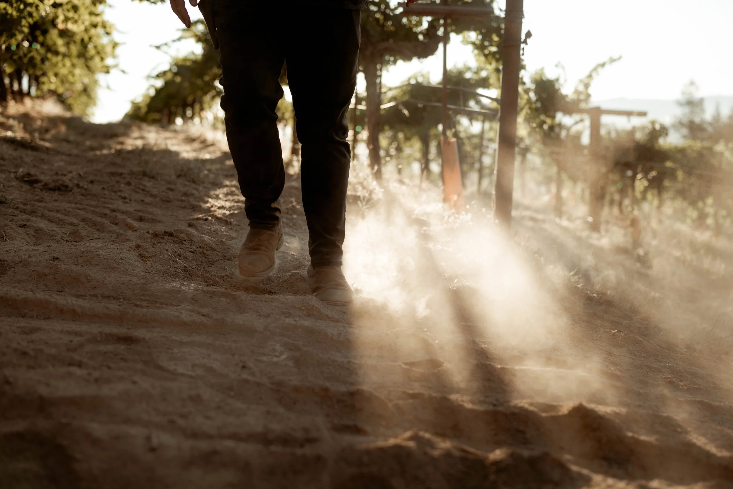 Ink Grade_July_2022_Vineyard Visit032.jpg