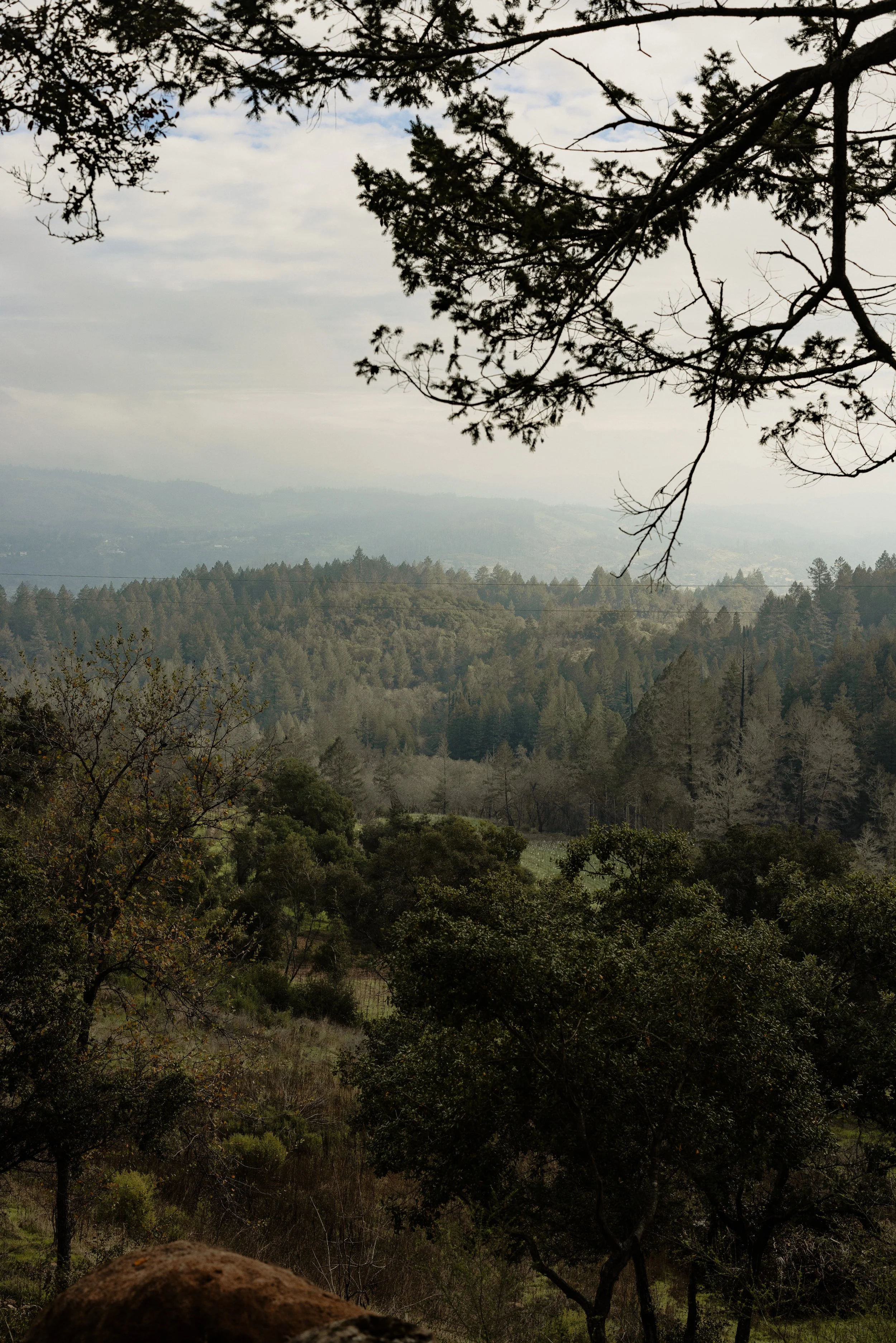 010_Stony Hill Winter Exterirors.jpg