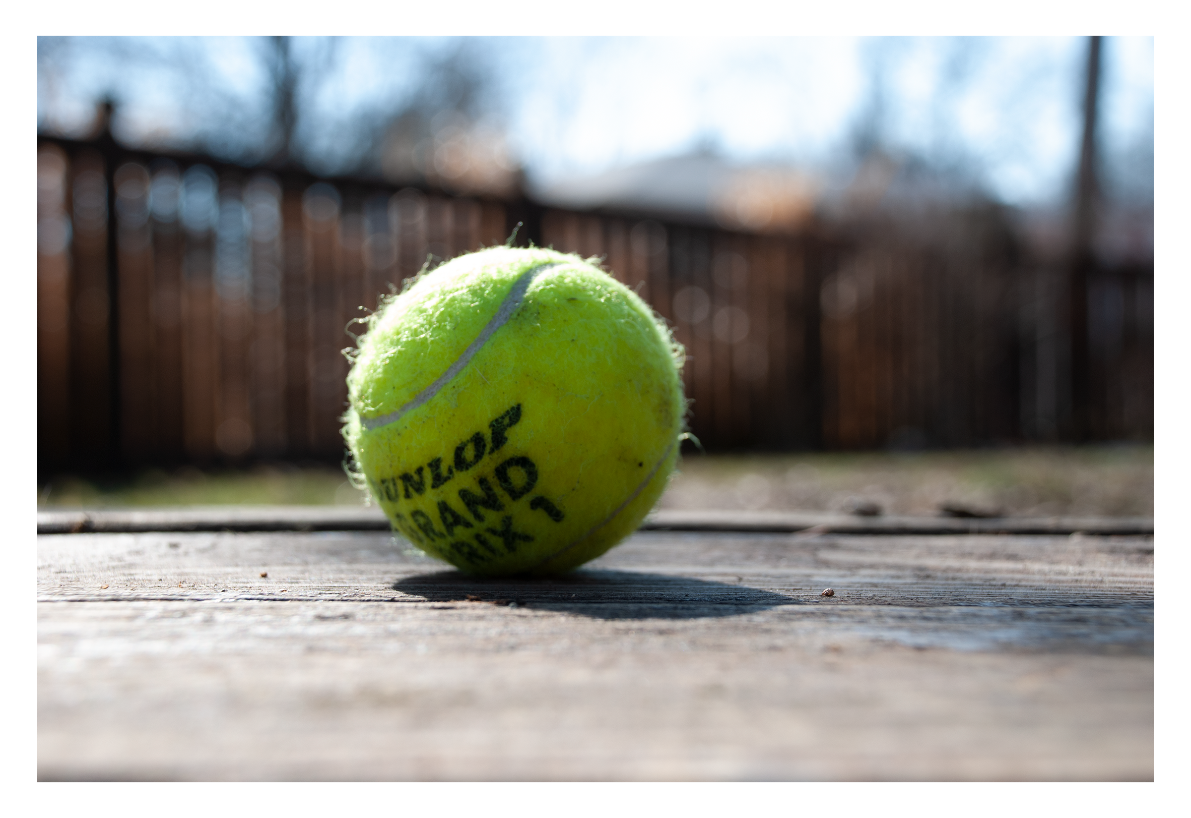 Tennis Ball.png