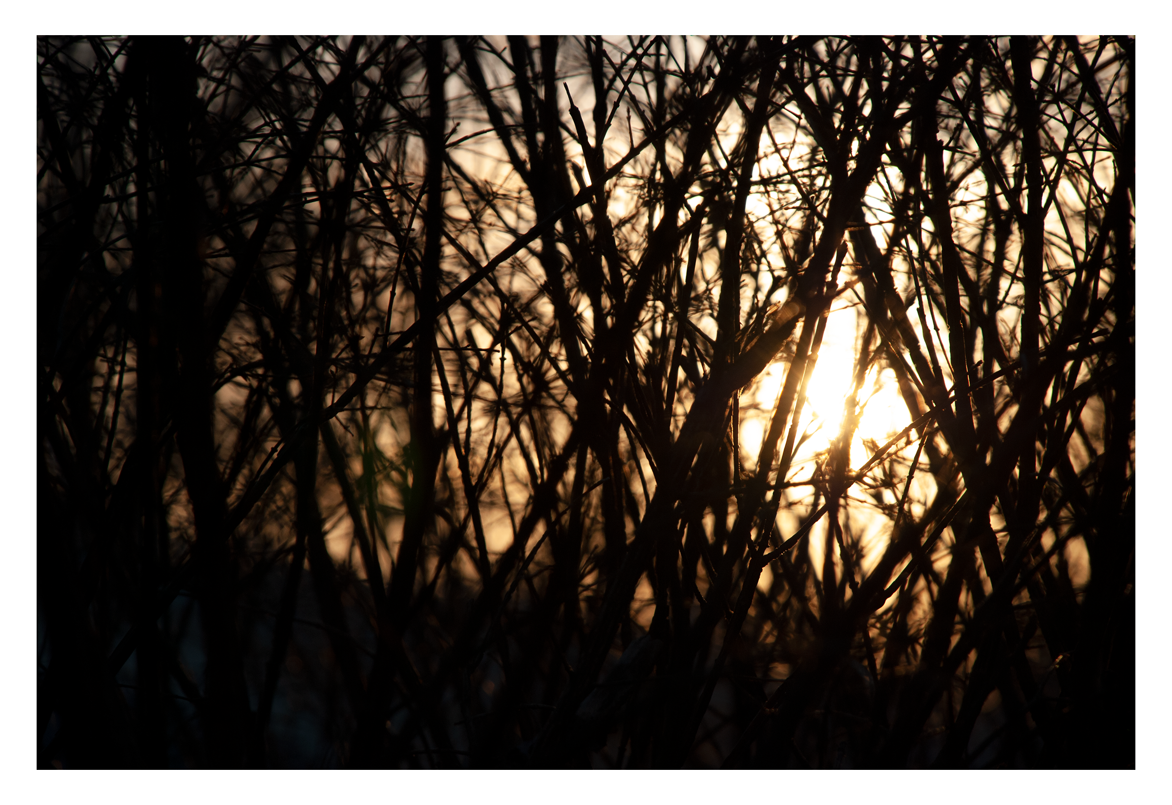Sunset.png