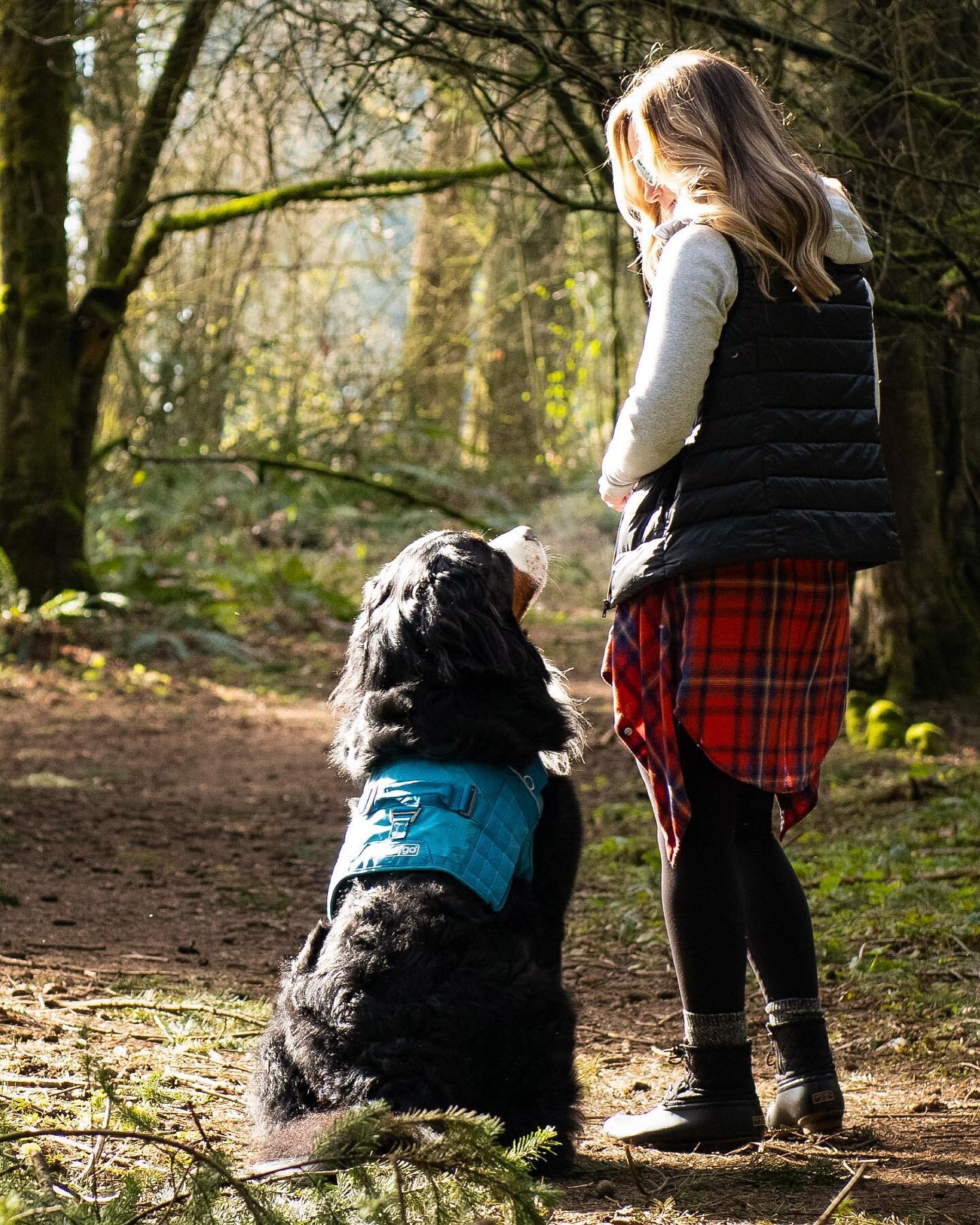 Things aren&rsquo;t quite as scary when you have a best furiend by your side. 

Tag your bestie and let them know how special they are. ❤️🐾

📸: @krystalglassphotography 

#bestfuriends #girlsbestfriend #dogmom #kurgotogether #bernesemountaindog #do
