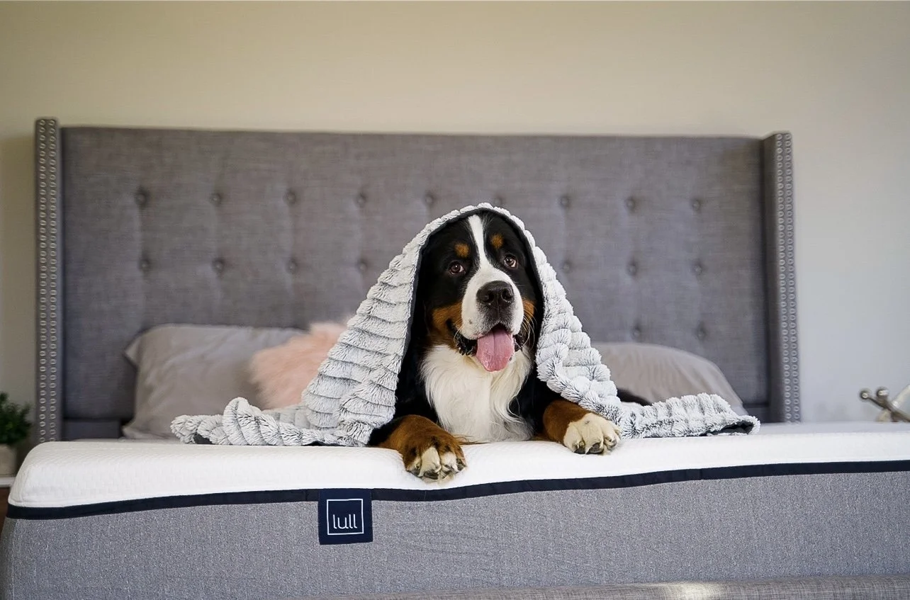 Shy BMD
