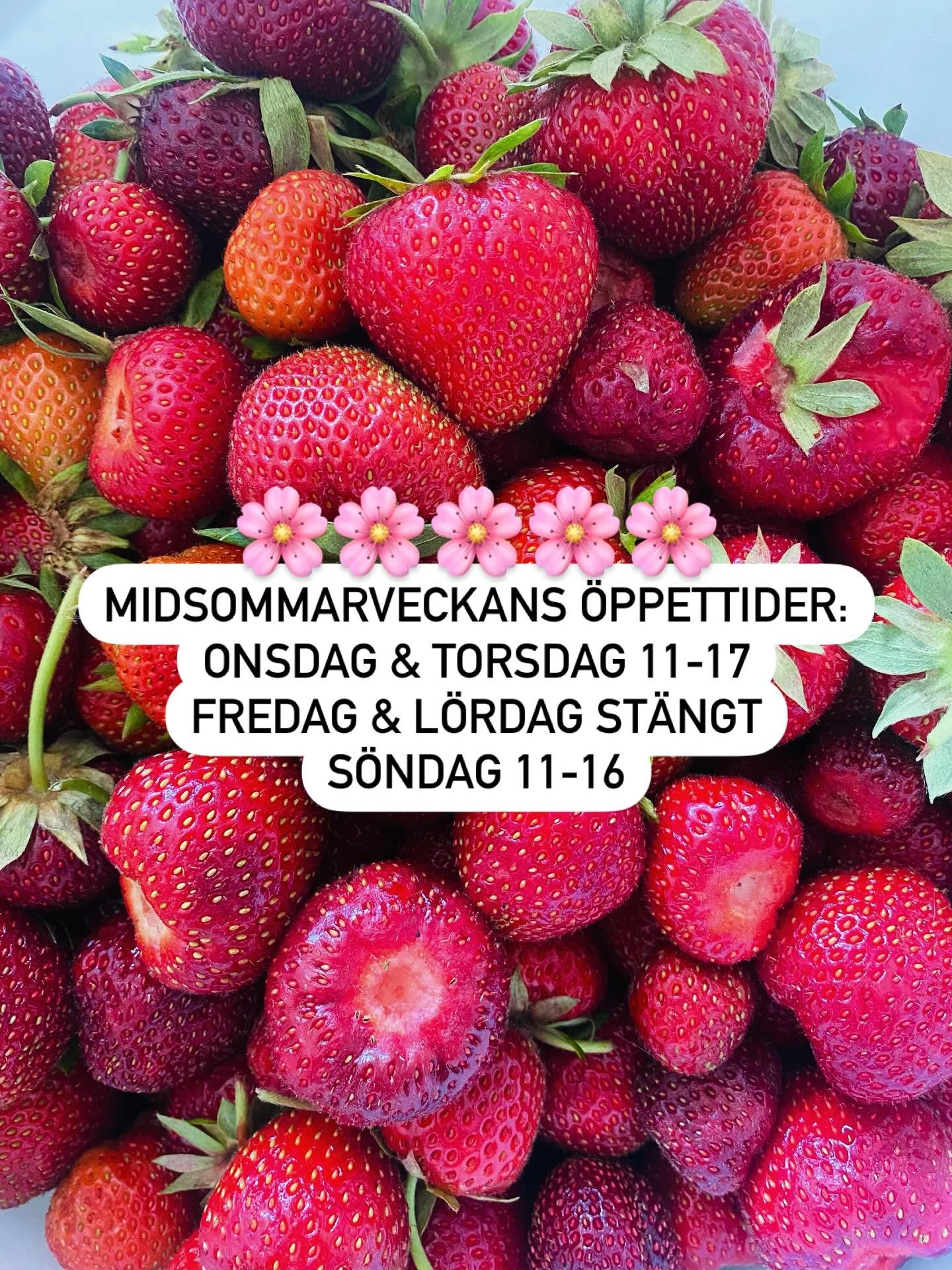 Midsommarveckans öppettider:
Onsdag & torsdag 11-17
Fredag & lördag stängt
Söndag 11-16
🌸🌸🌸🌸🌸🌸🌸🌸🌸🌸🌸