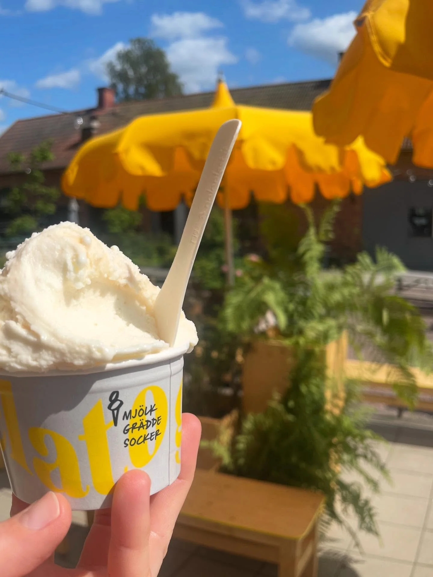 Är det inte det här vi väntat på? Sommar och sol lagom till midsommar 😎🌸🍦☀️