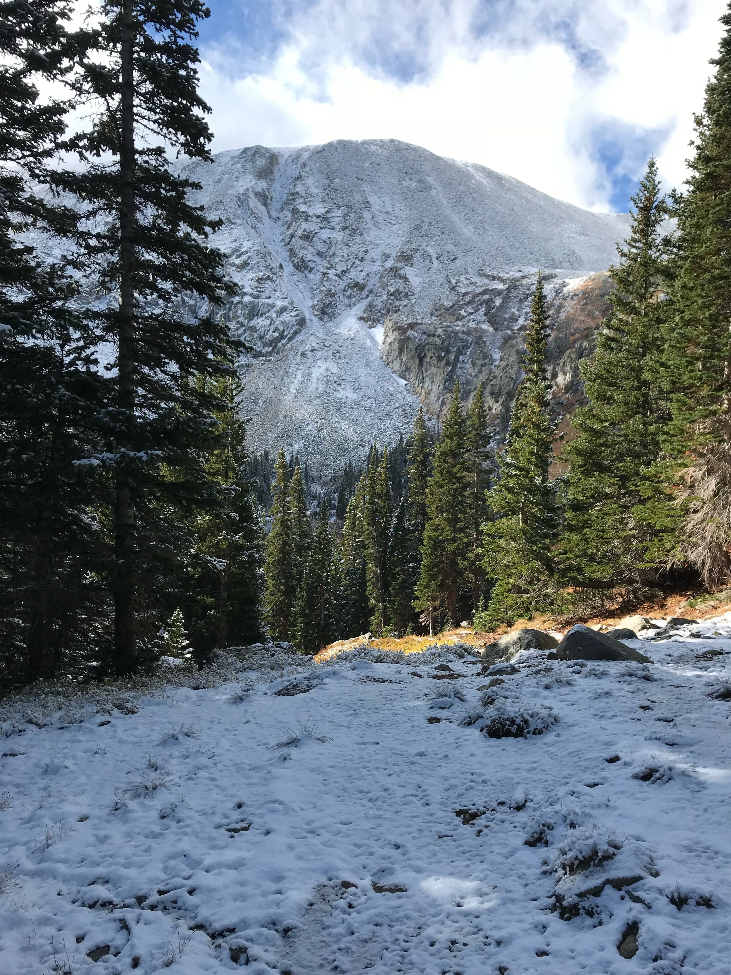 All the Colors of the Dark