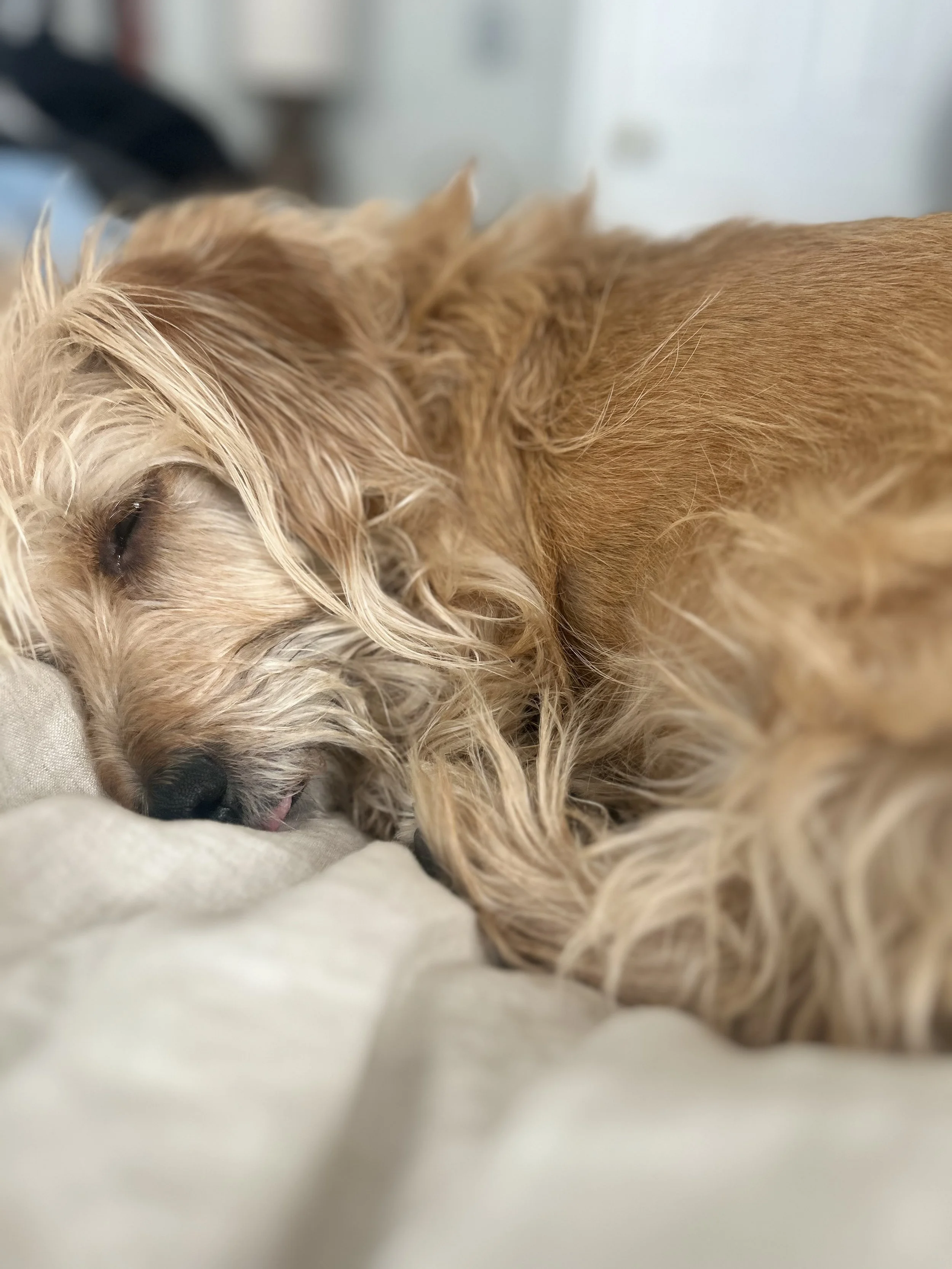 Everyone Needs More Rest (Three Acts)