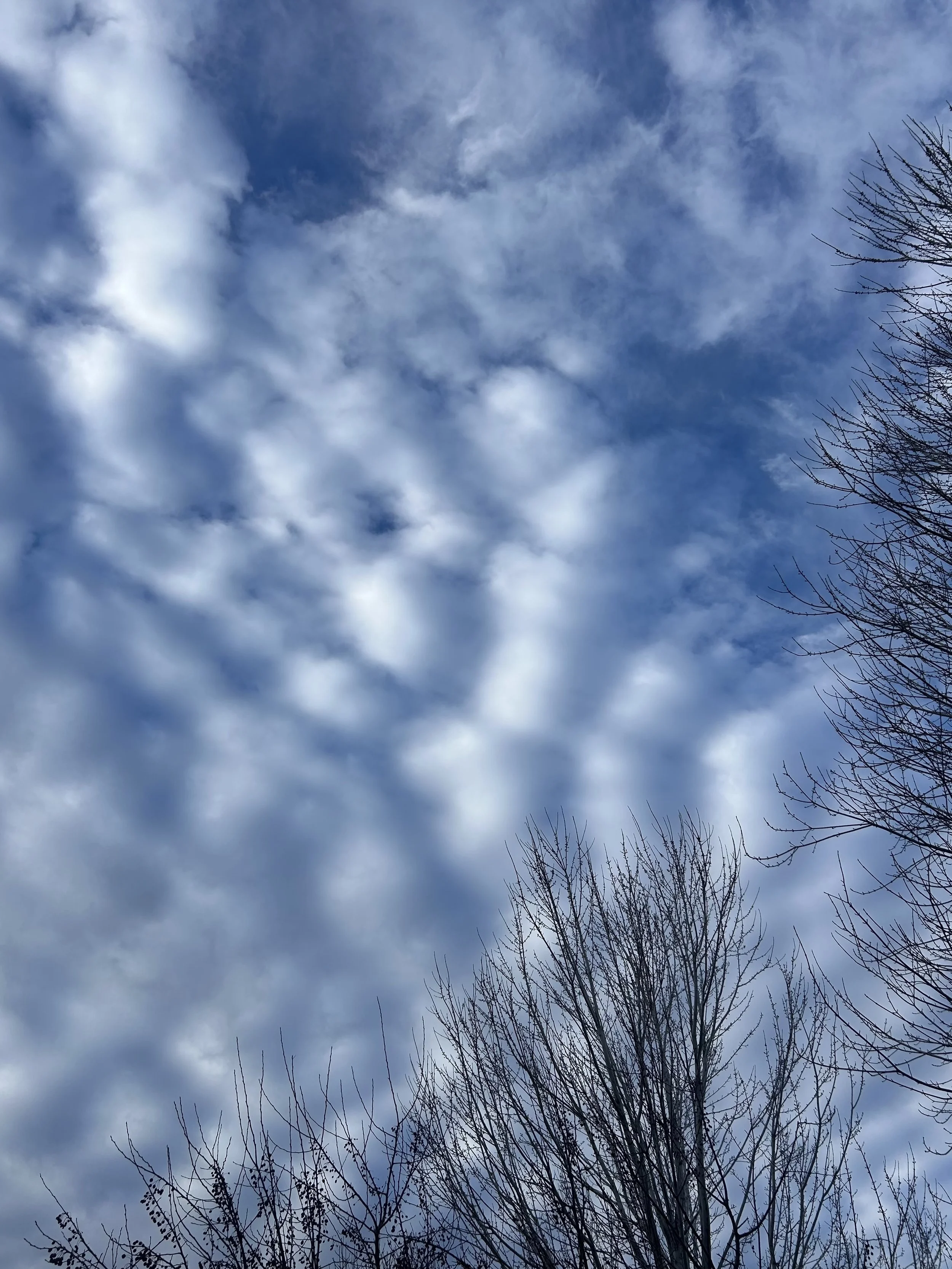 There’s much to be learned by simply showing up 