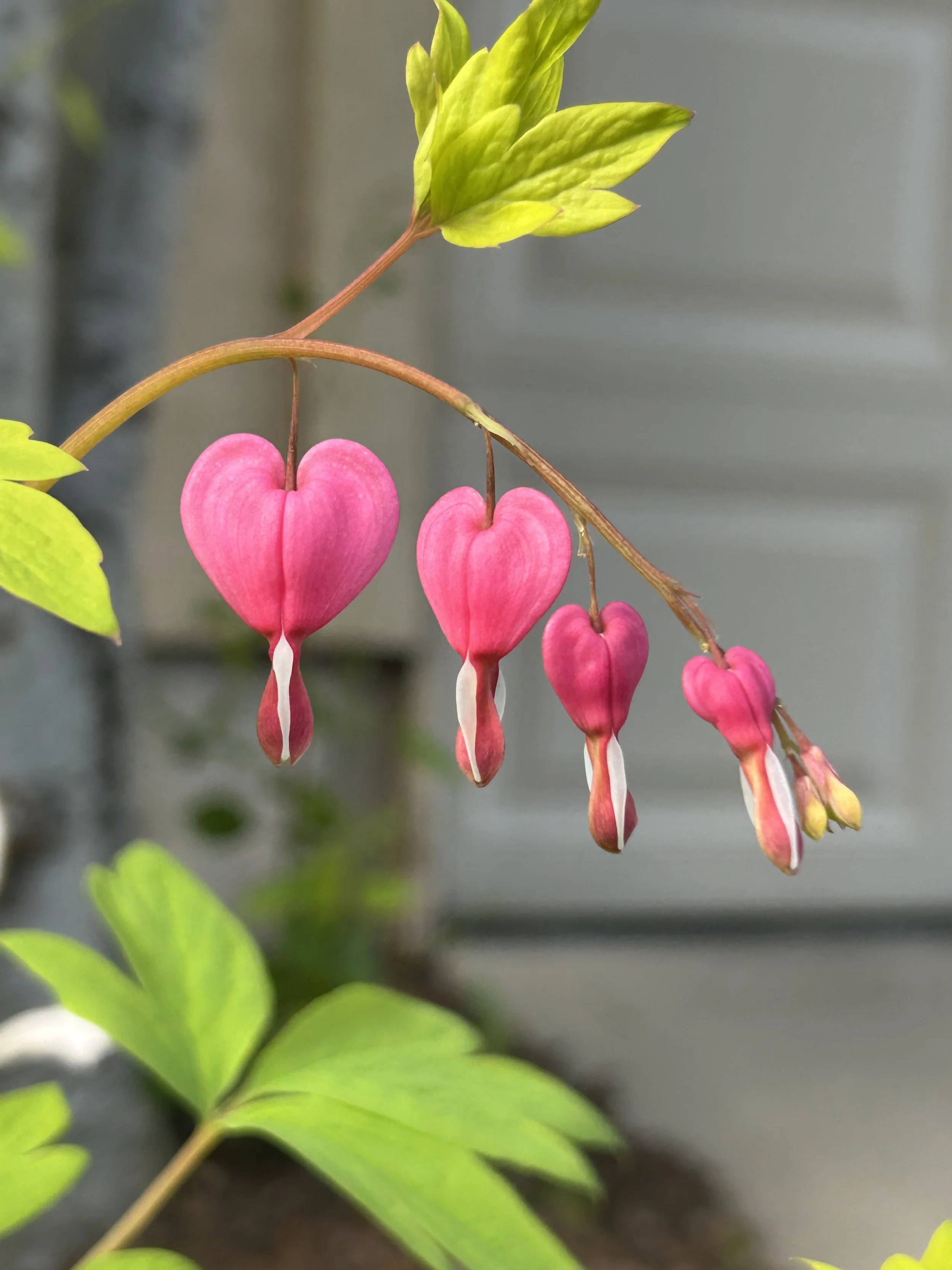 You are loved ❤️