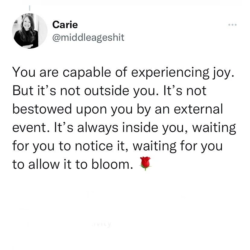 The value of playfulness