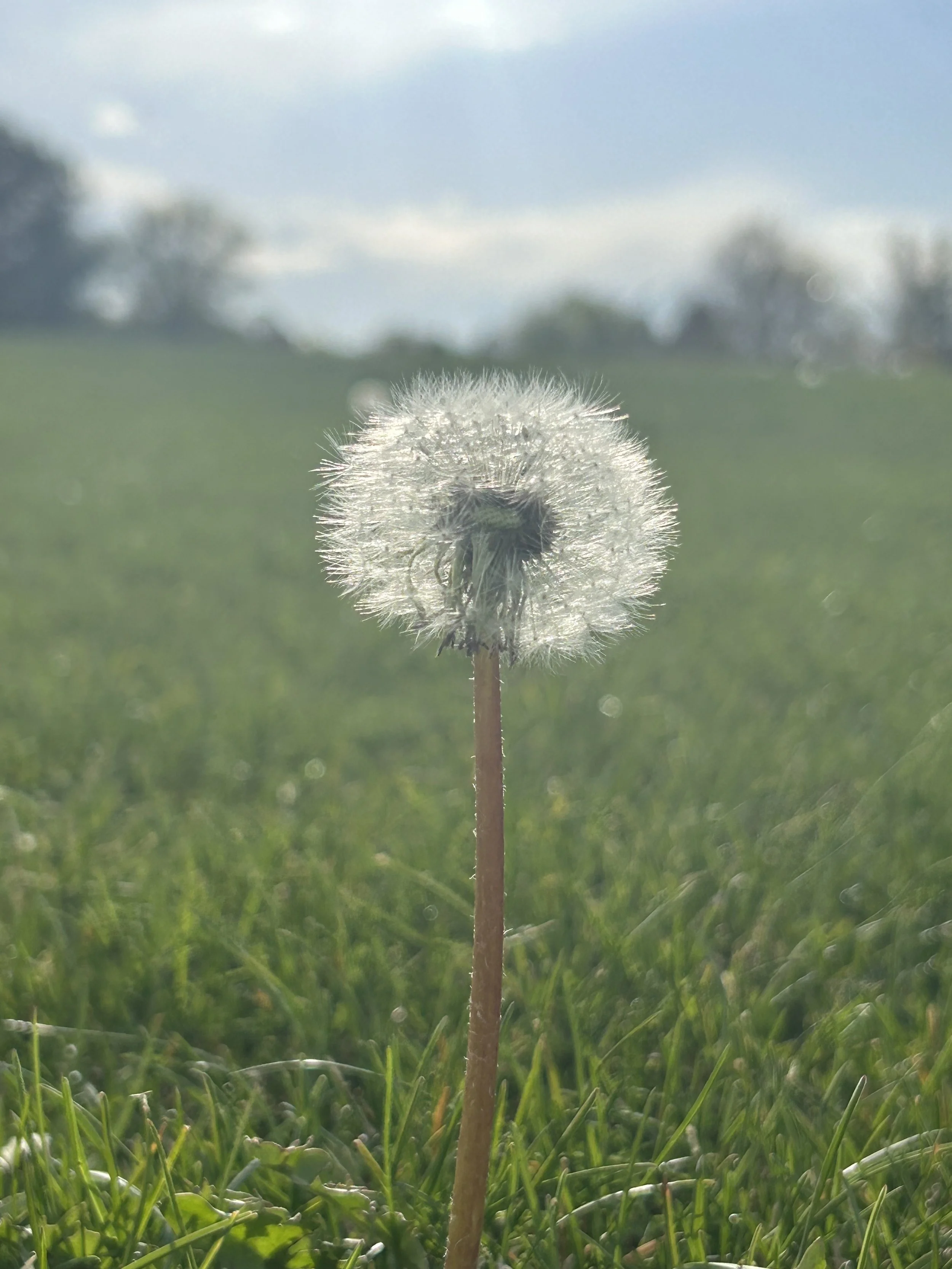 What if … it is what it is and there’s nothing more to the story 