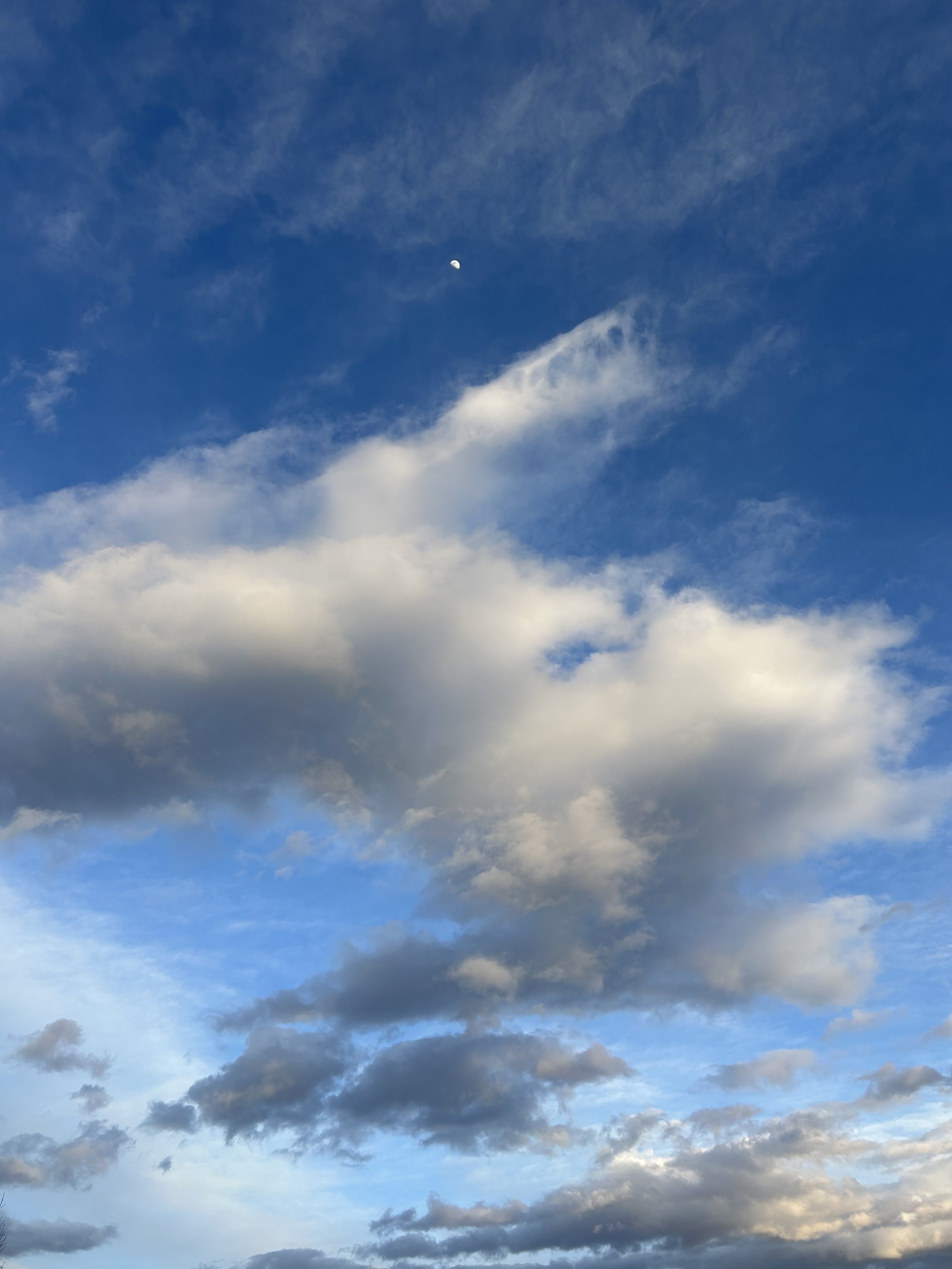 To Begin With, the Sweet Grass by Mary Oliver