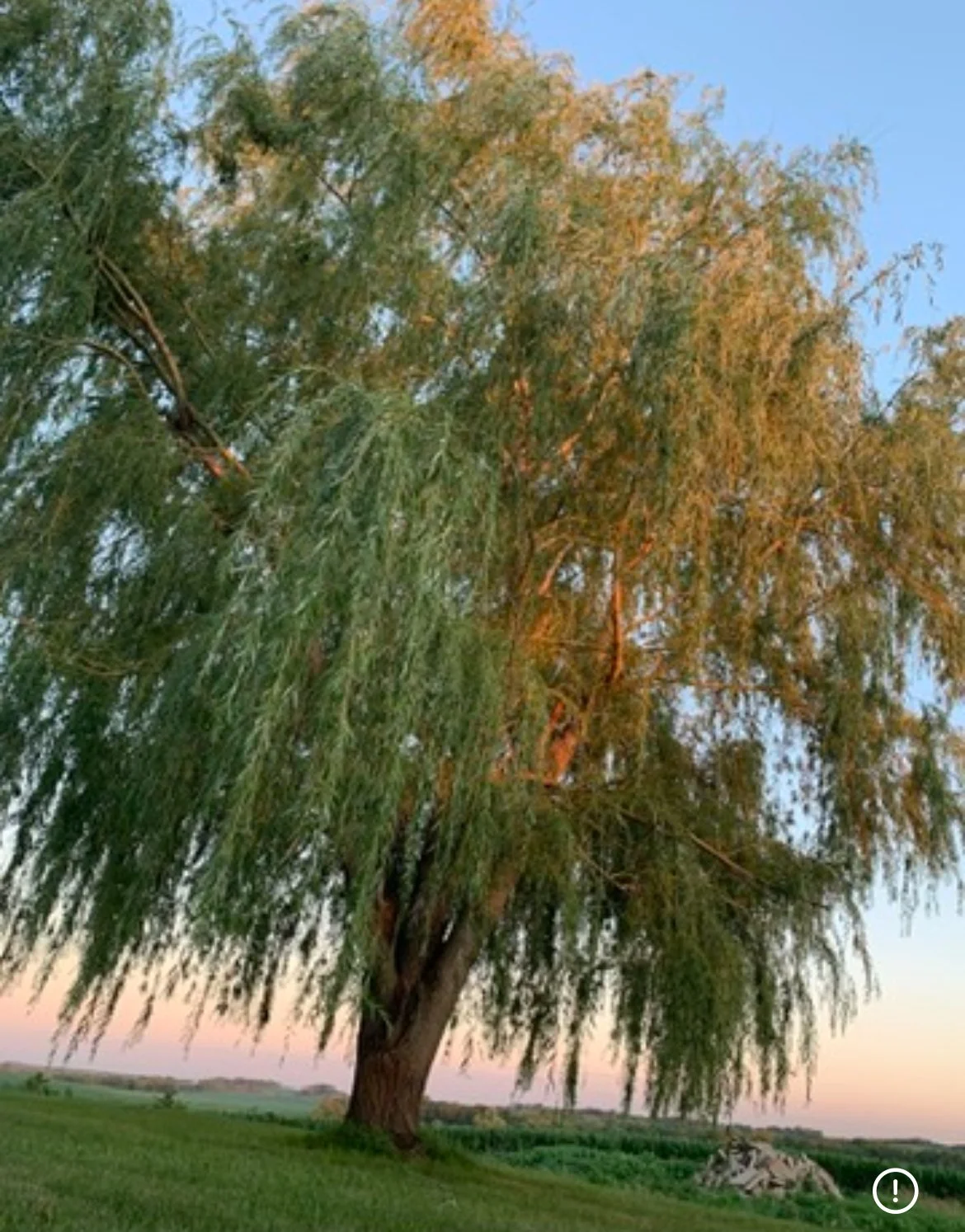 Another by Mary Oliver 