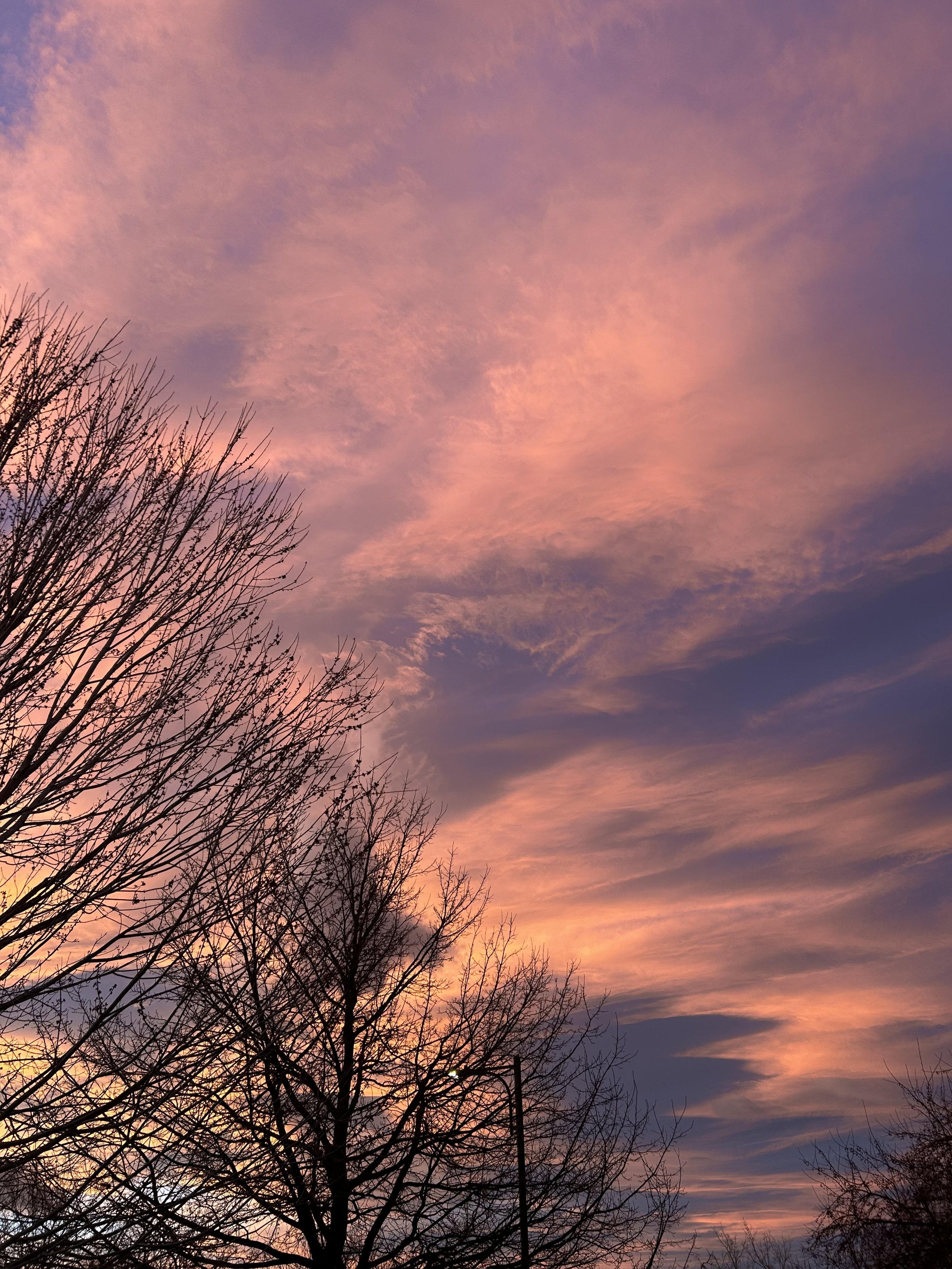 A question you can ask yourself, in these most unprecedented times