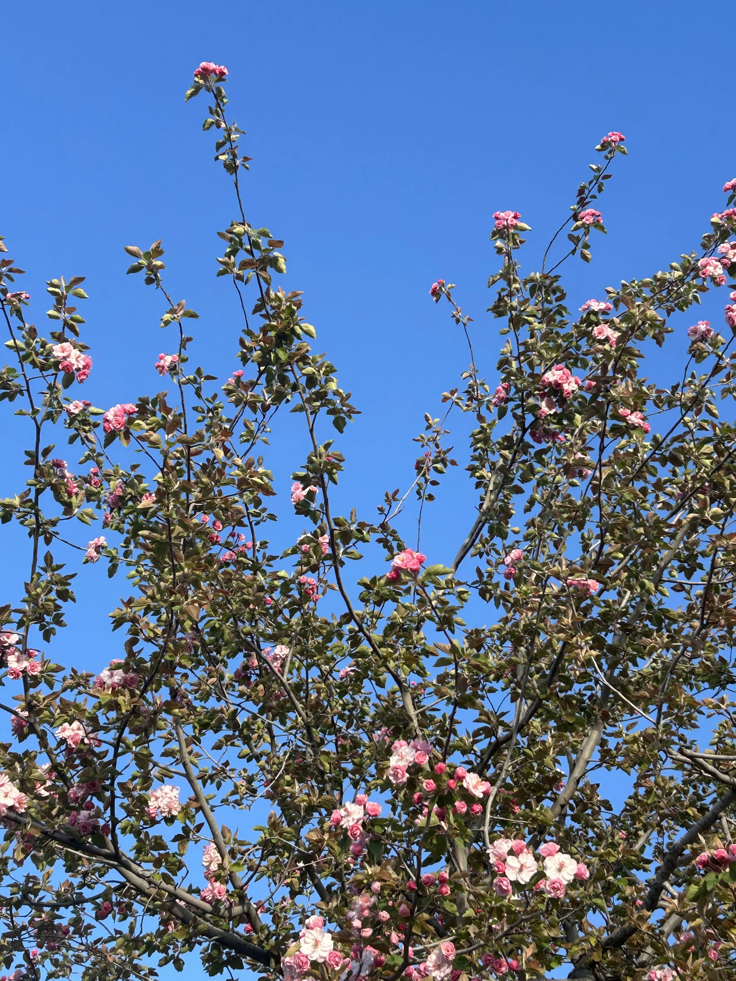 Don’t you imagine (I just suggest it)