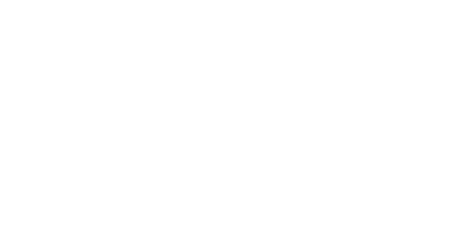 Blue Action Sports Inc. 