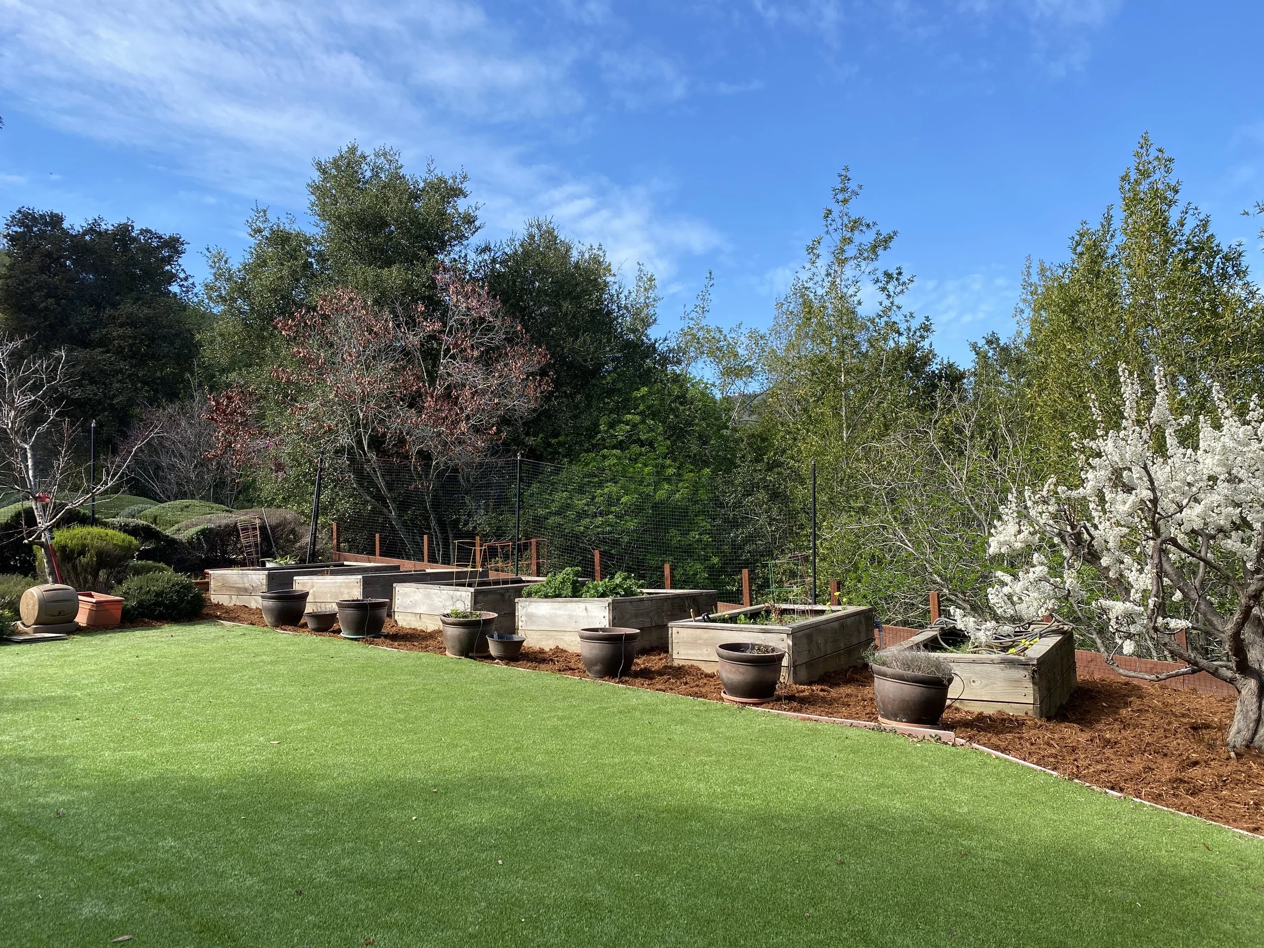 Mark Thompson Website 12.JPG