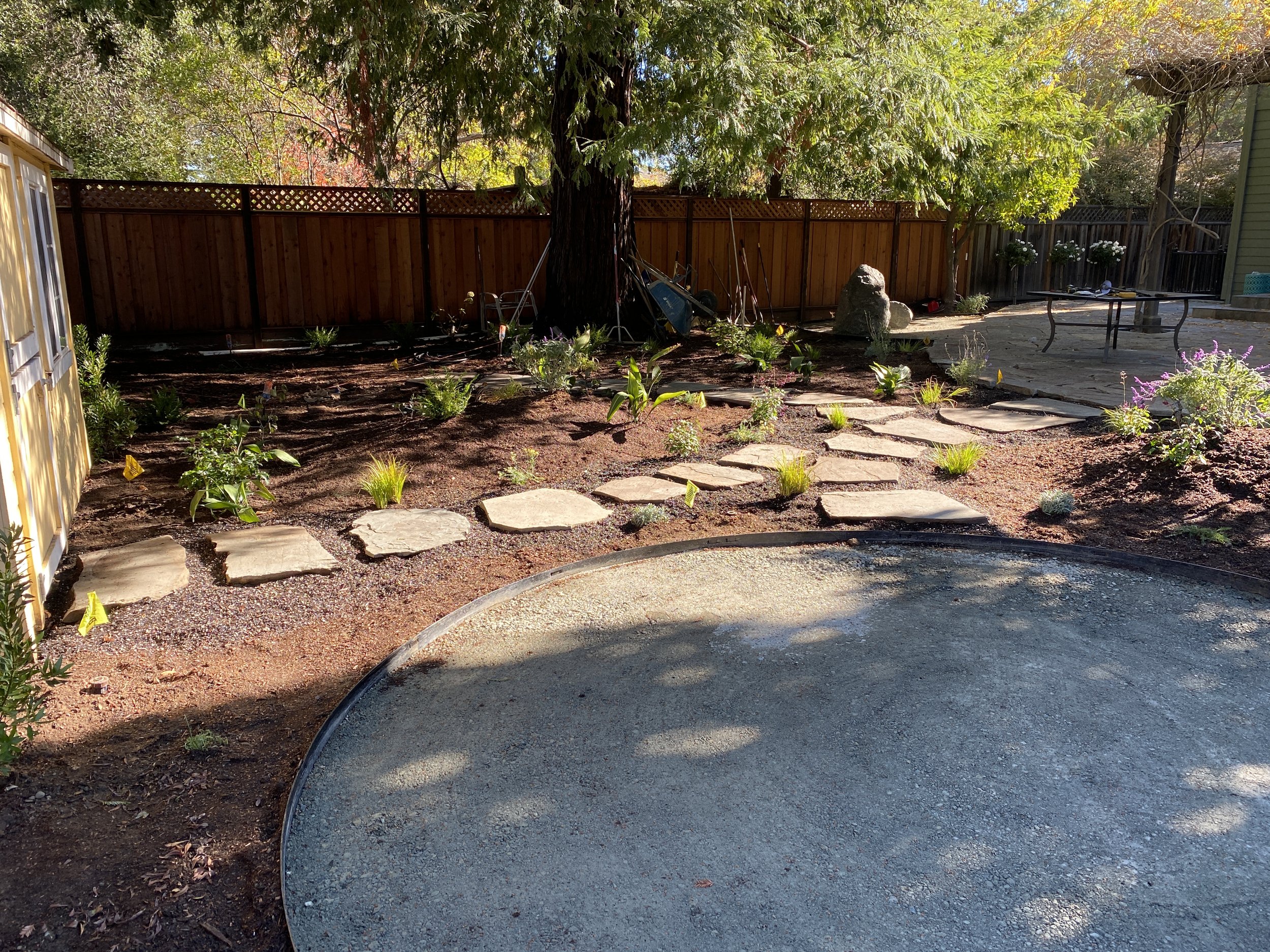 Hoffmans Web IMG_6670.JPG