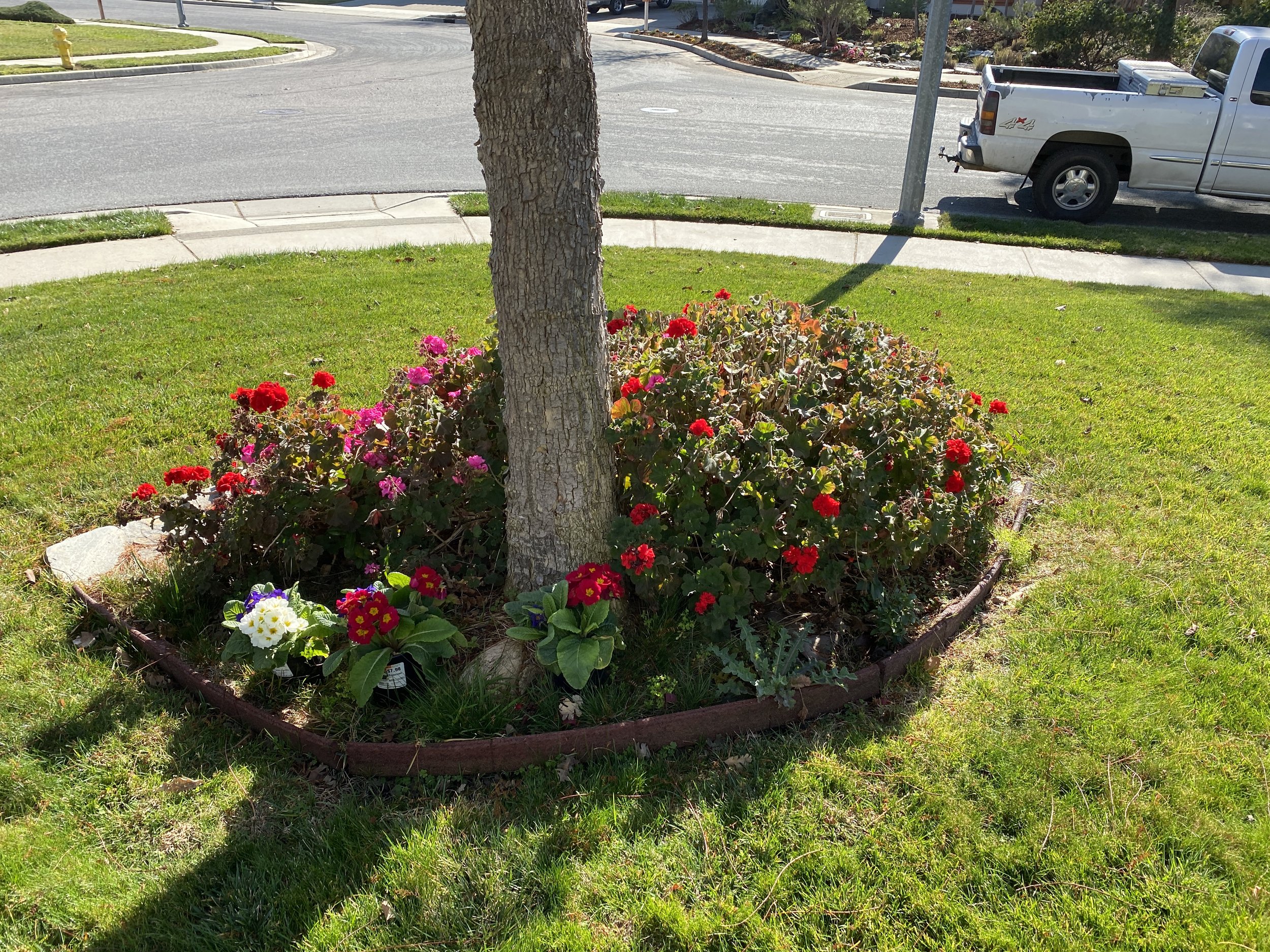 Kevin McKinley IMG_7888.JPG