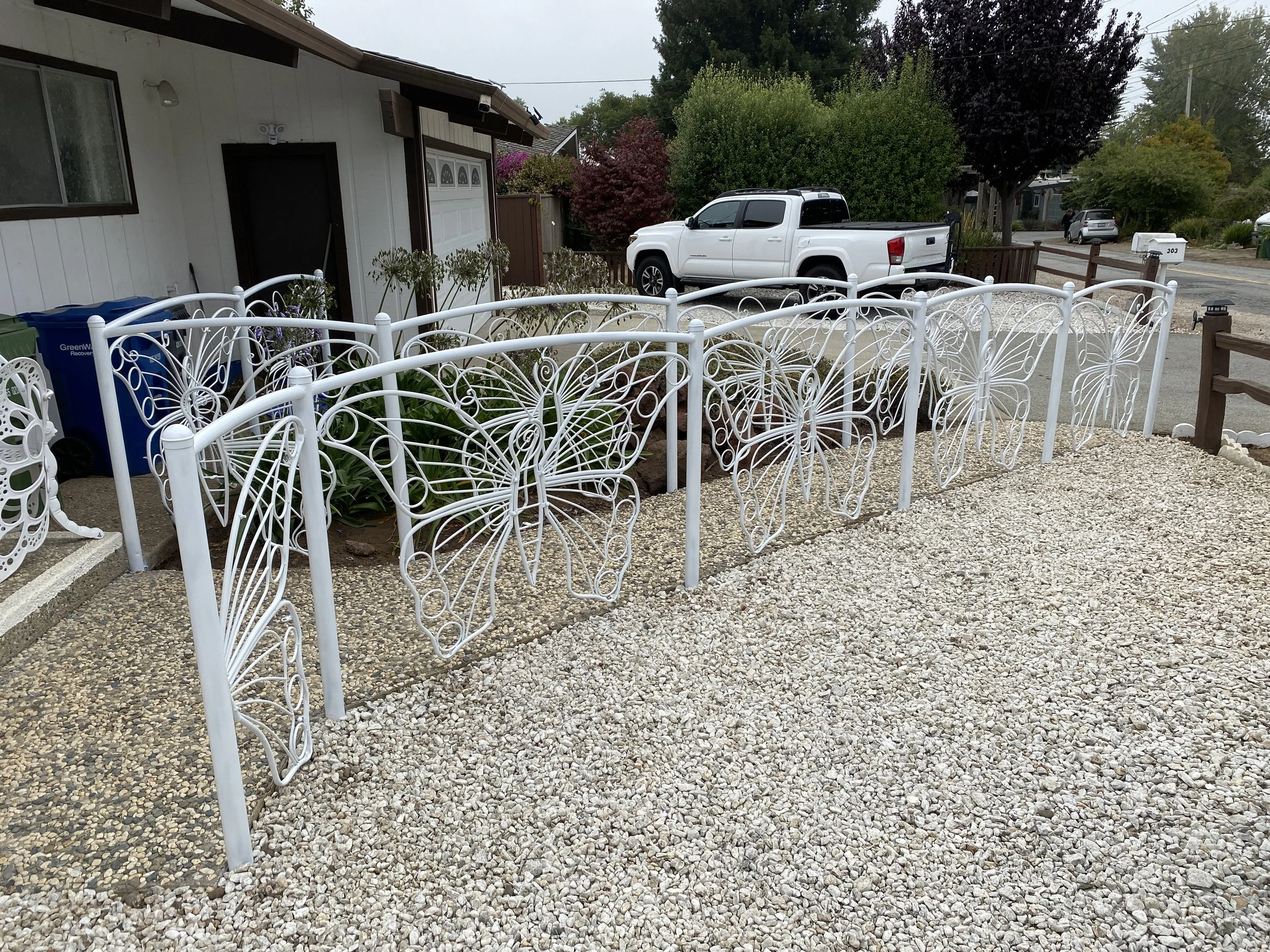 Carol Hill Website 7.JPG