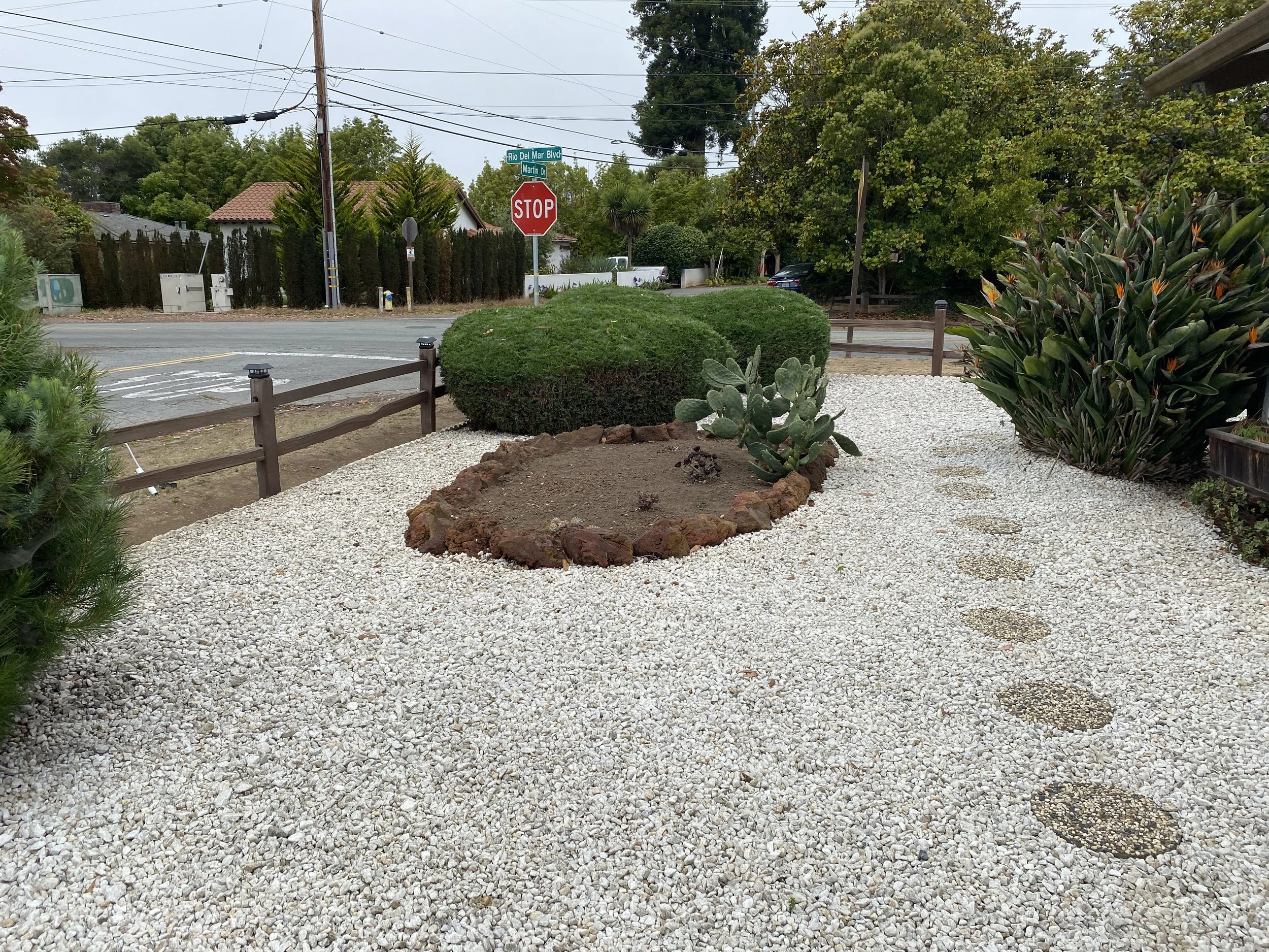 Carol Hill Website 14.JPG