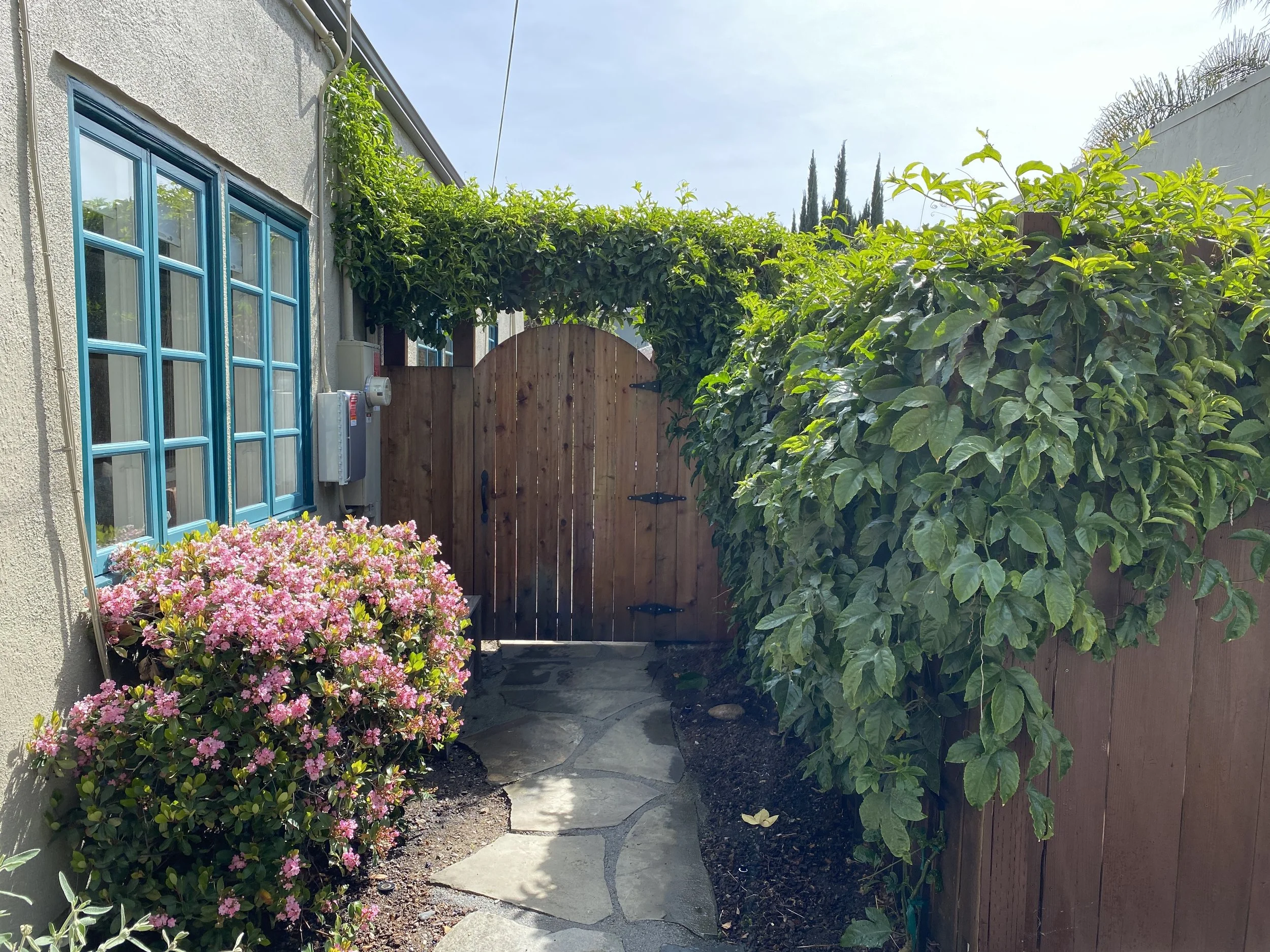 Phil Clean Up Done 2.JPG