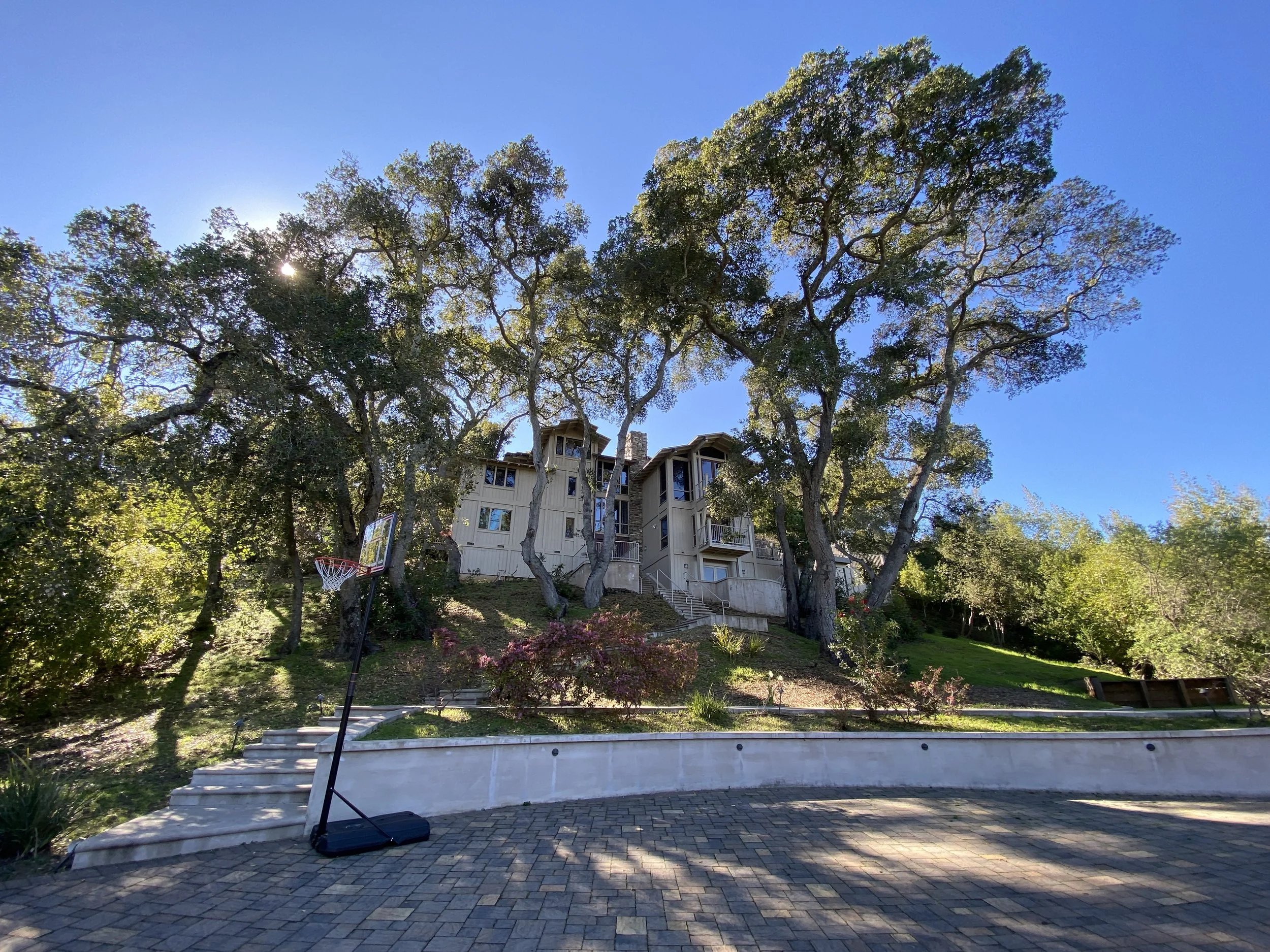 Mark Thompson Website 15.JPG