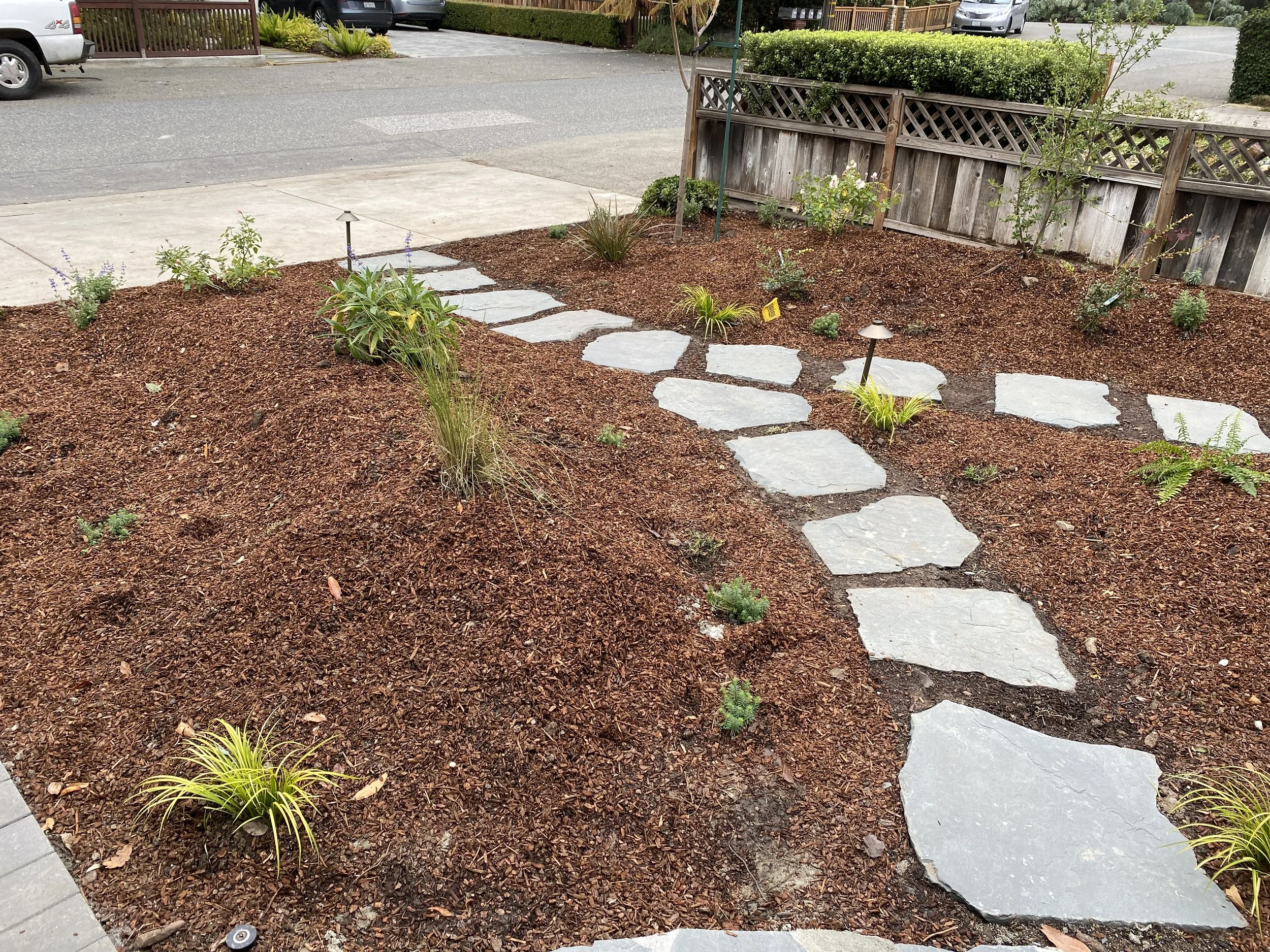 Hoffmans Web Hoffmans Done 11.JPG