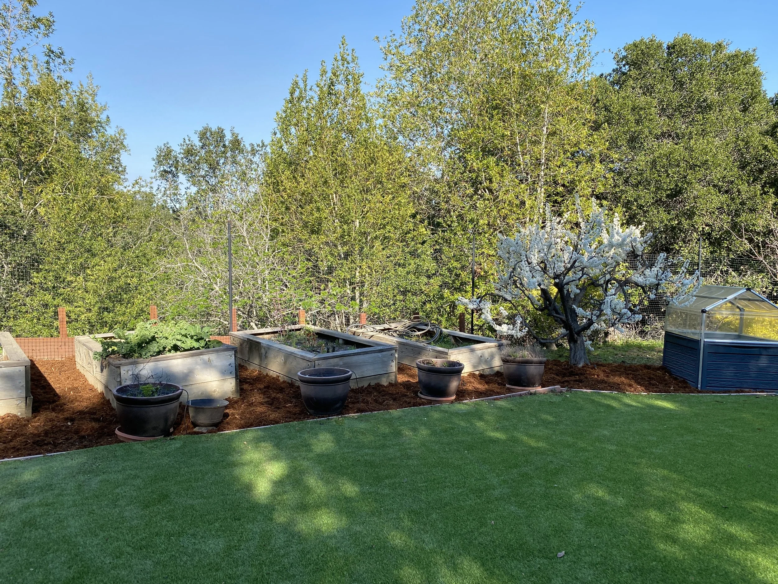 Mark Thompson Website 11.JPG