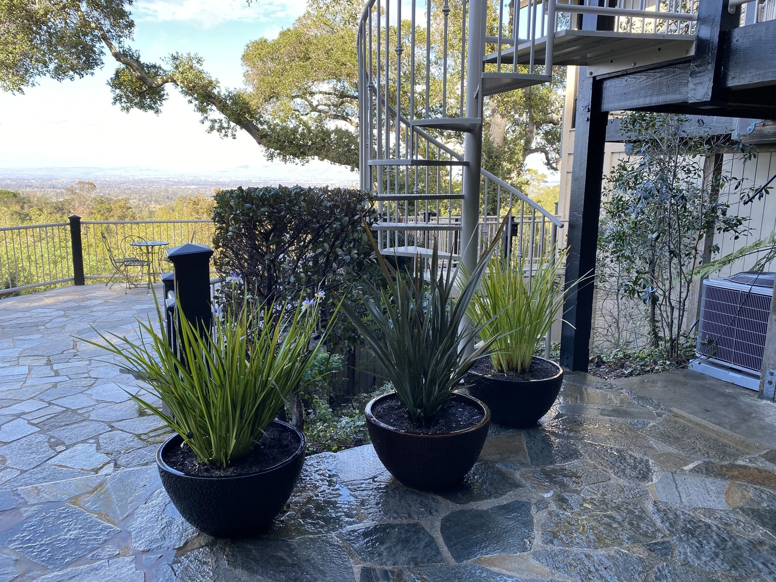 Mark Thompson Website 3.JPG