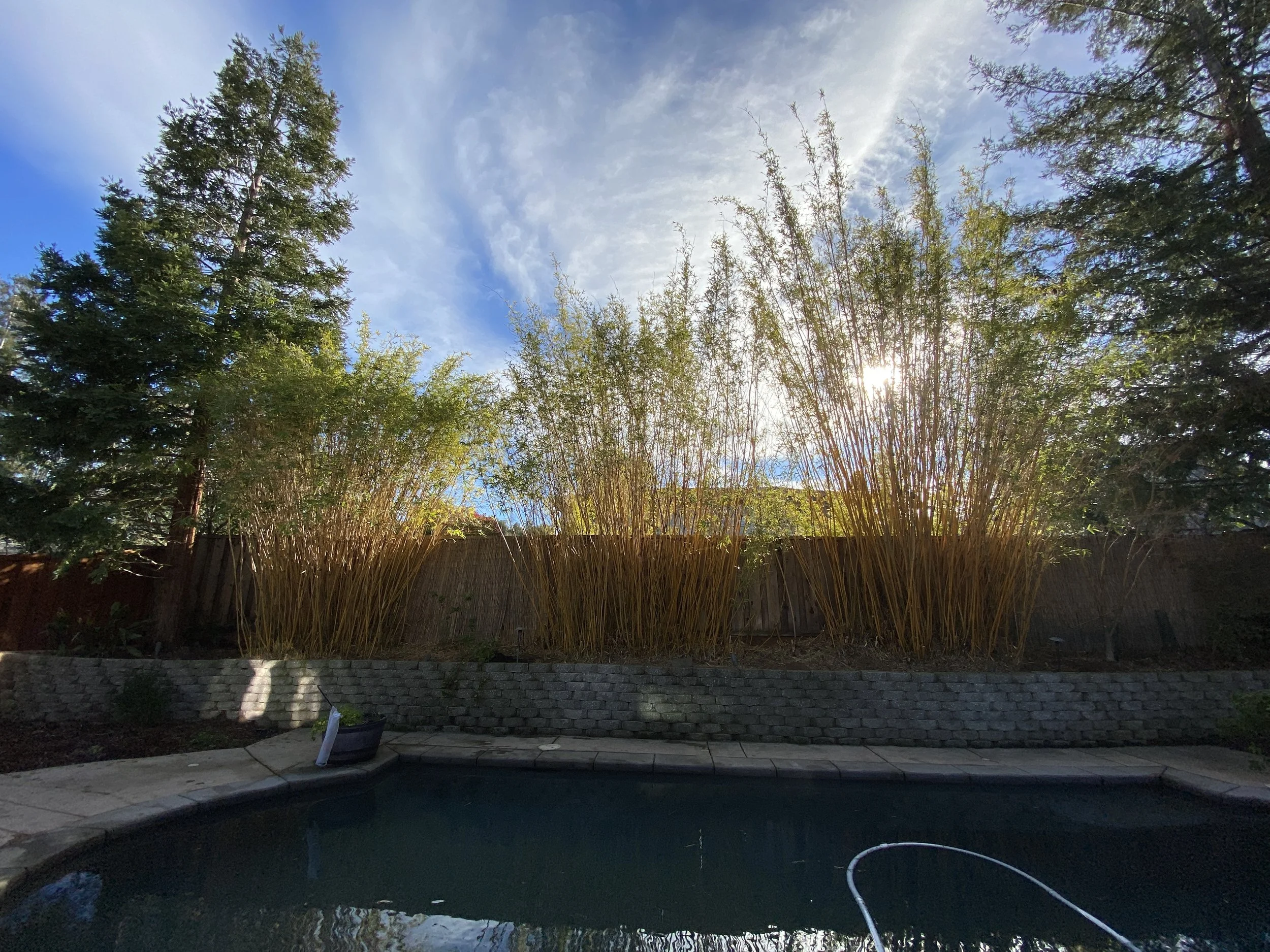 Swensons Website 1.JPG