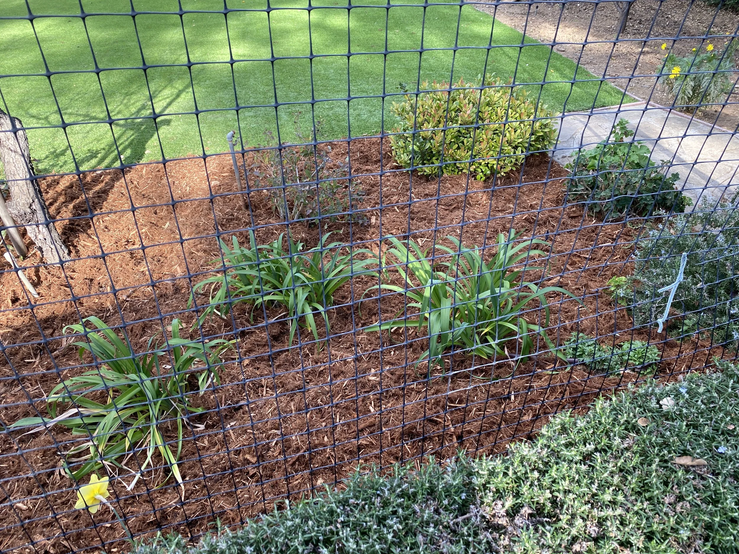 Mark Thompson Website 8.JPG