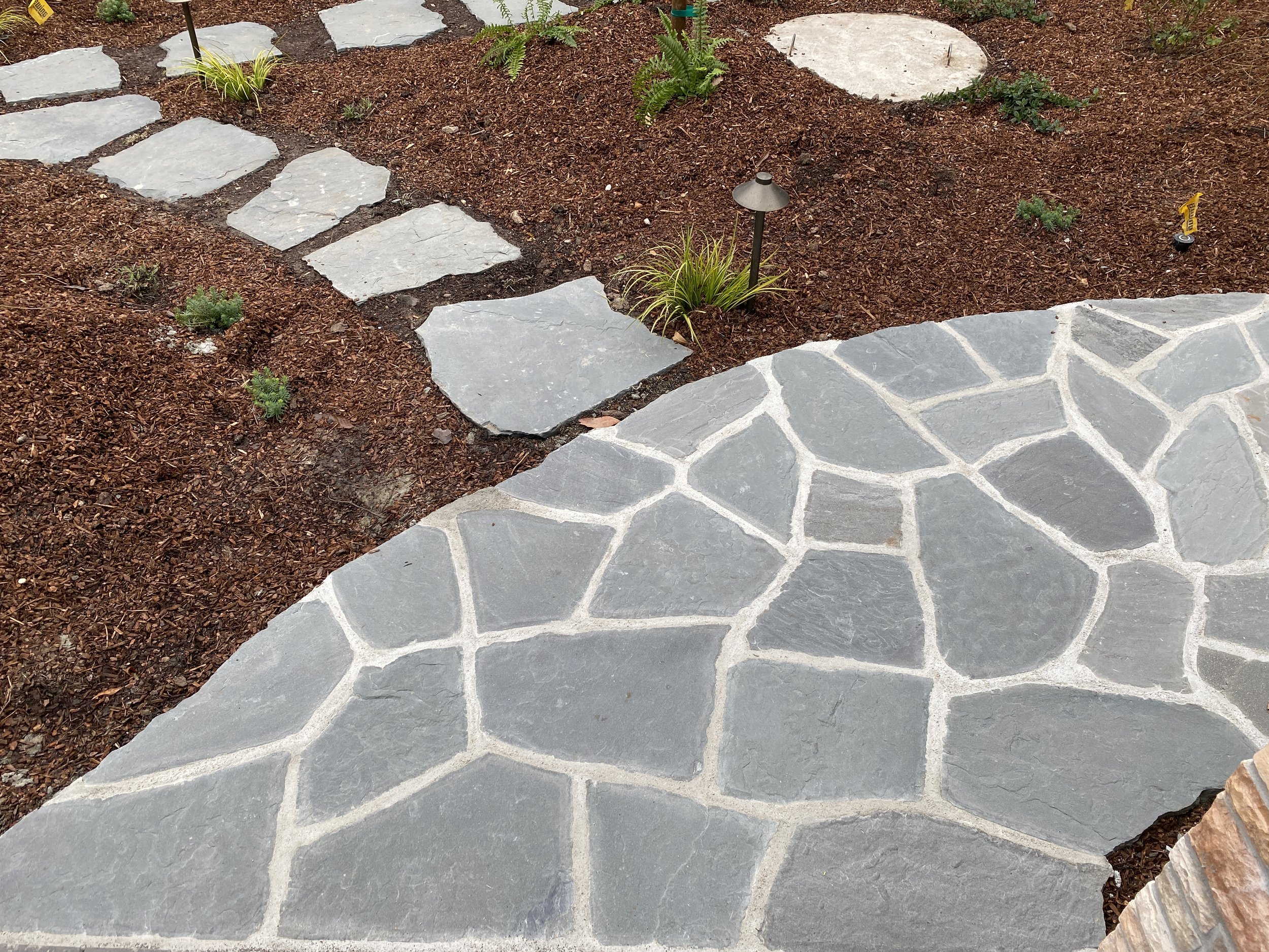 Hoffmans Web Hoffmans Done 21.JPG