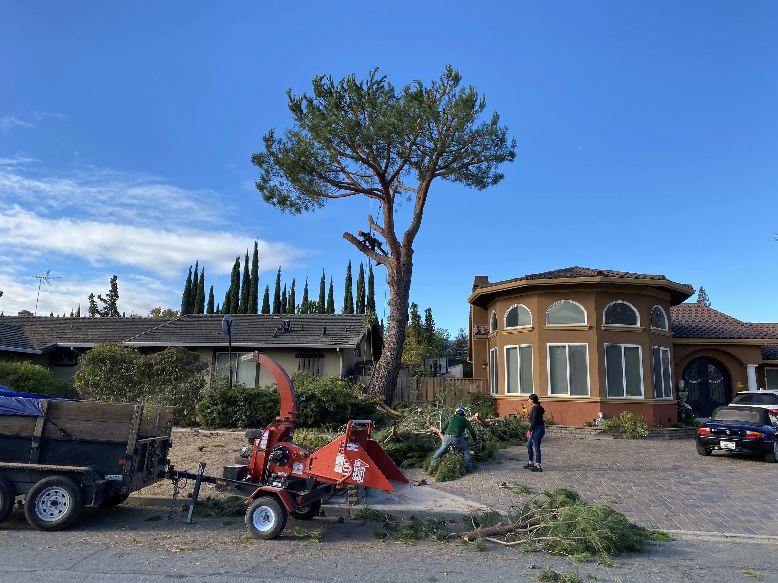 Solana Website 2.JPG