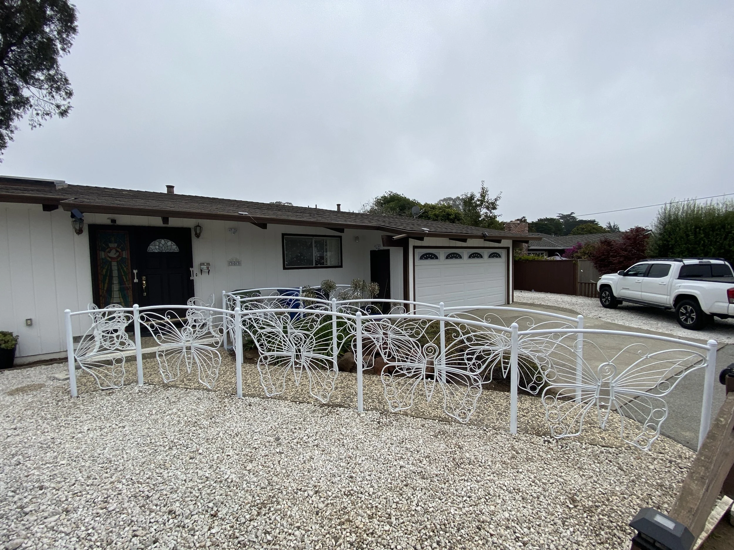 Carol Hill Website 12.JPG