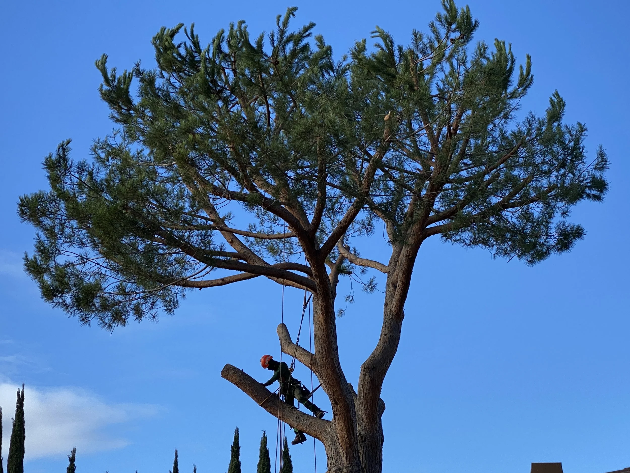 Solana Website 3.JPG