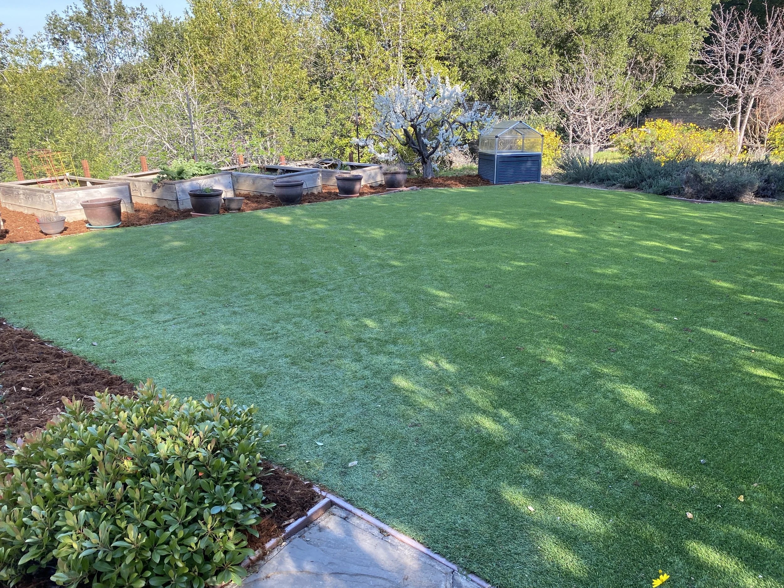 Mark Thompson Website 14.JPG