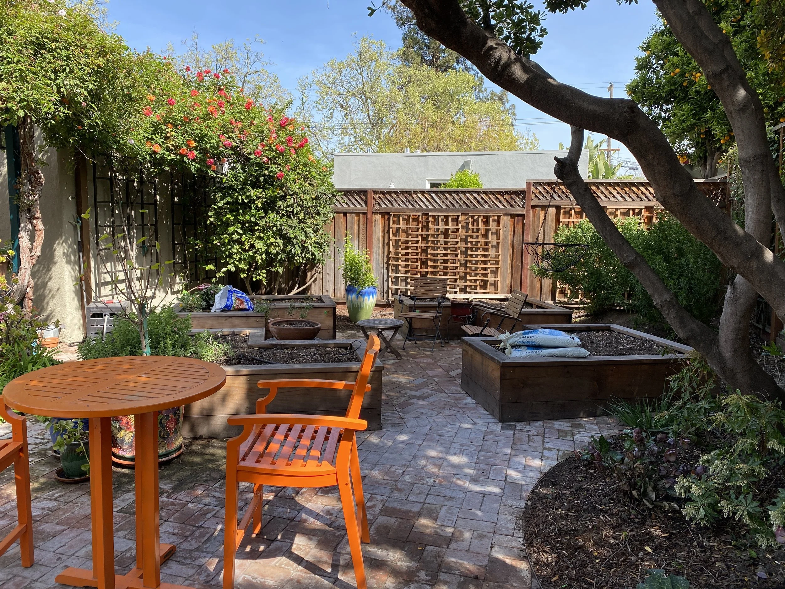 Phil Clean Up Done 6.JPG