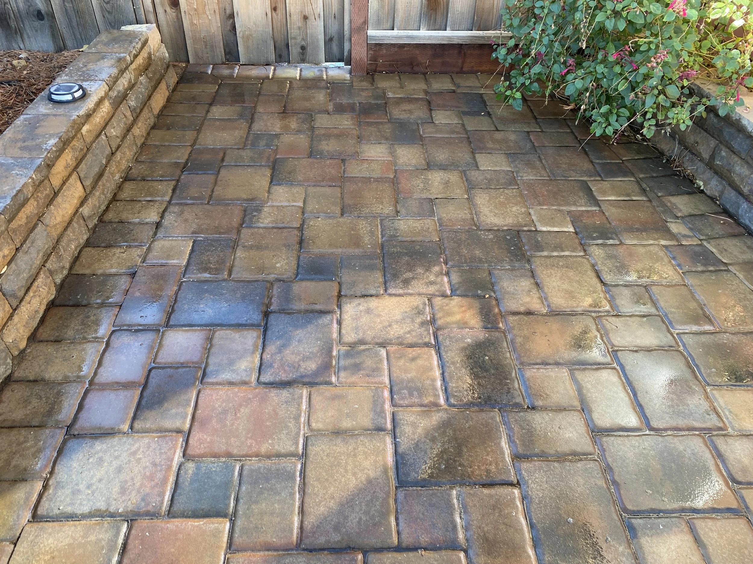 Solana Website 7.JPG