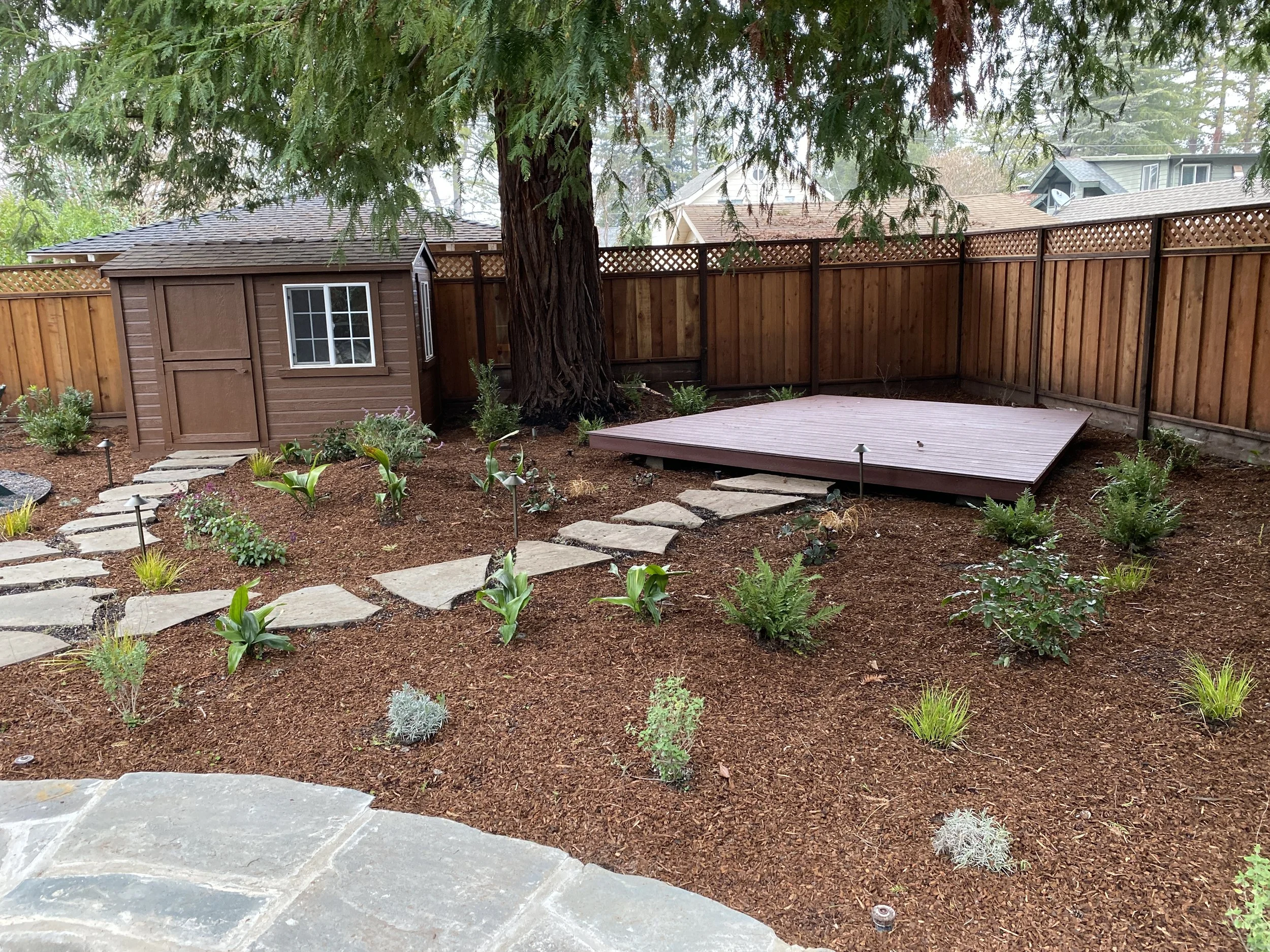 Hoffmans Web Hoffmans Done 2.JPG