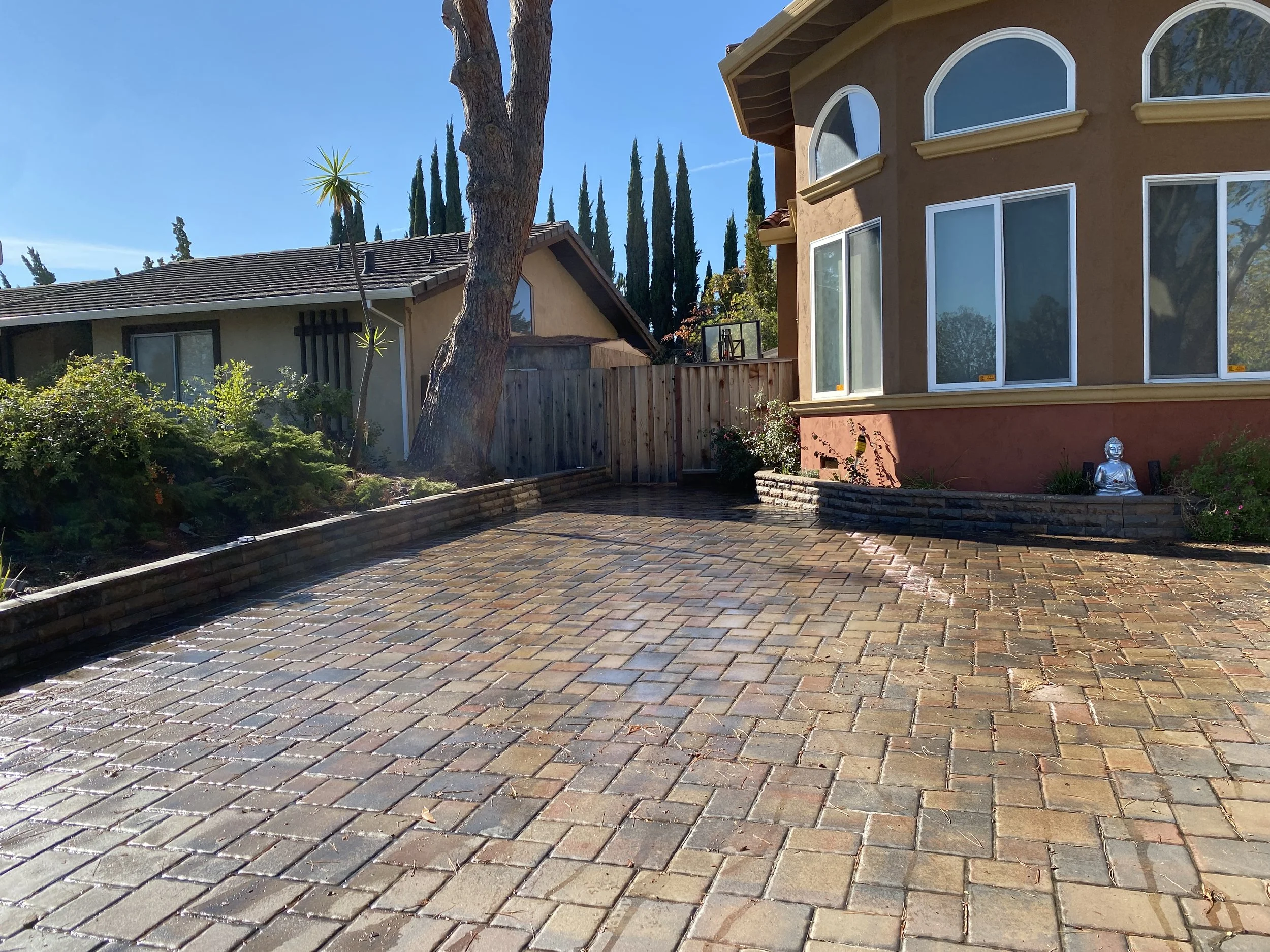 Solana Website 11.JPG