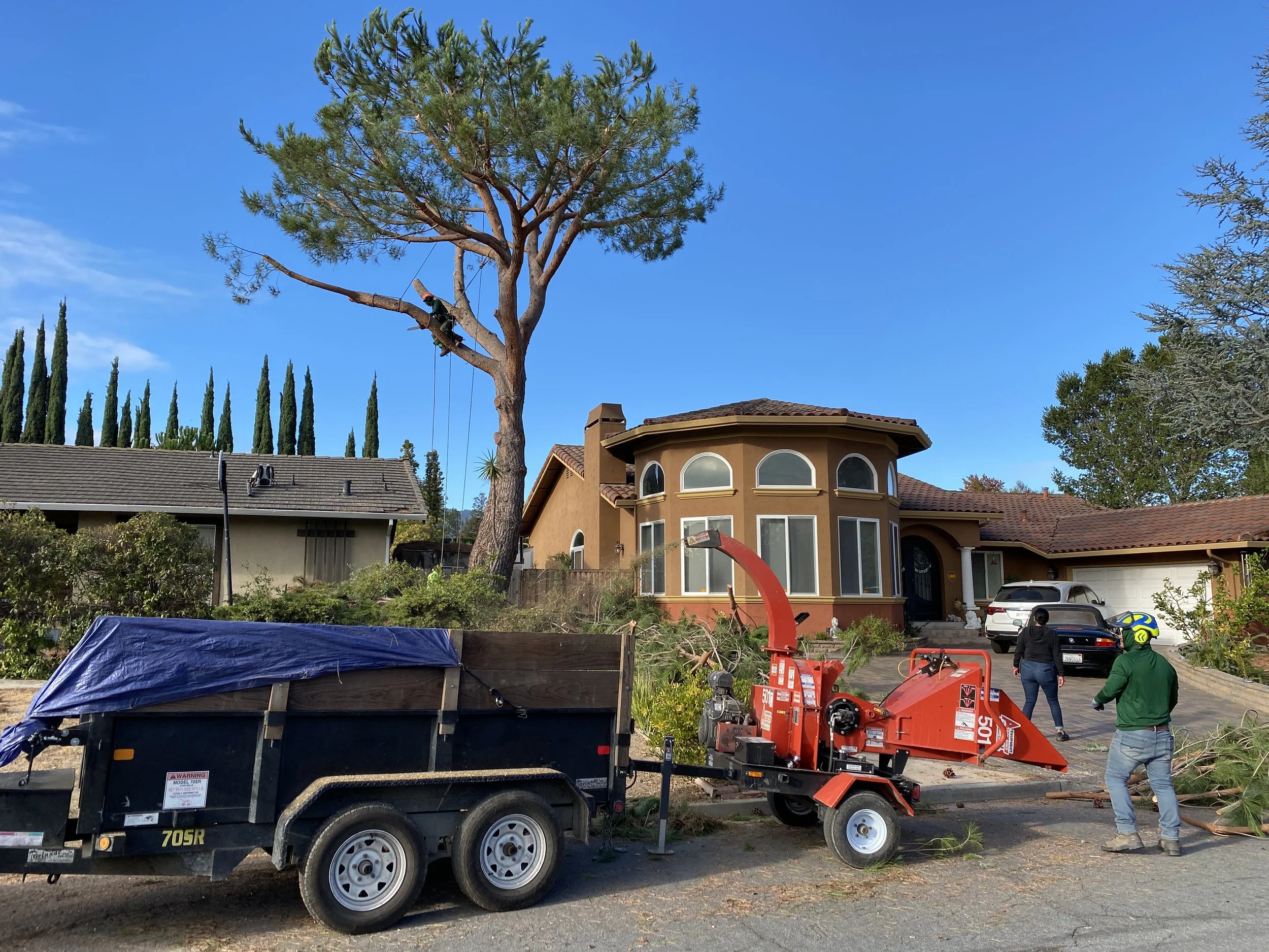 Solana Website 1.JPG