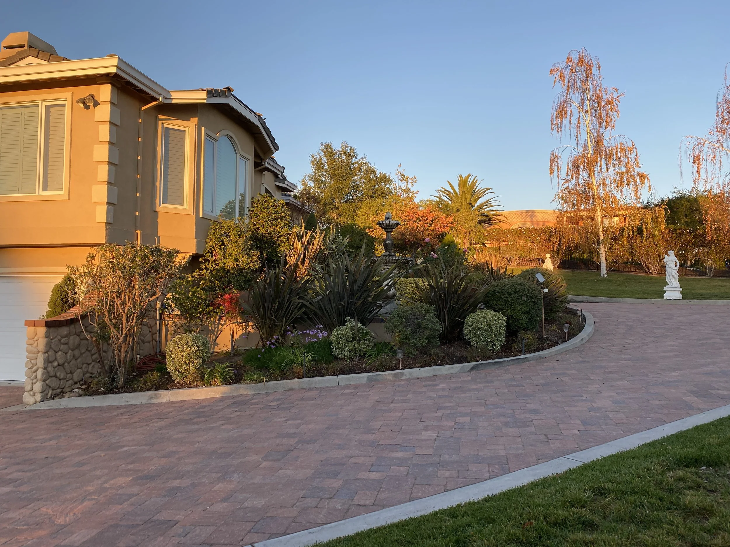 Doctor Pavers 12.JPG