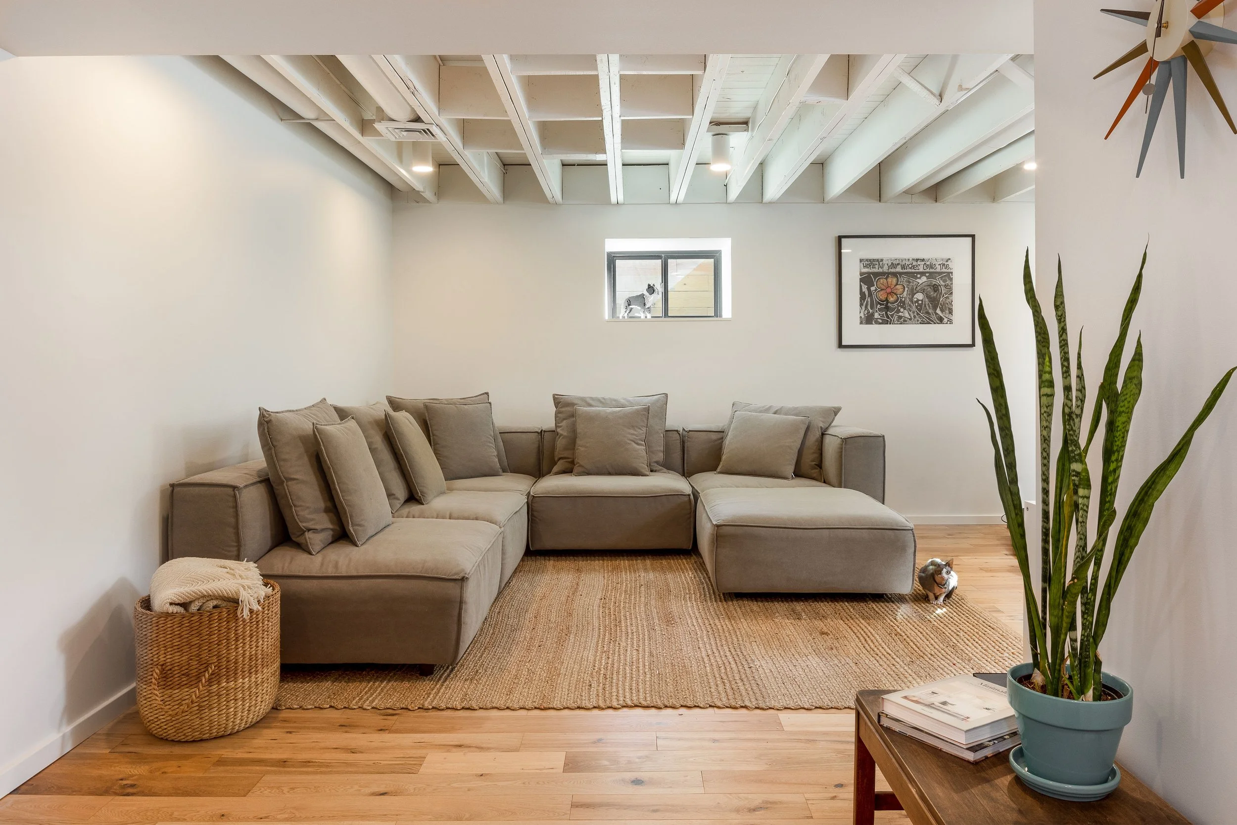 Basement Living Room