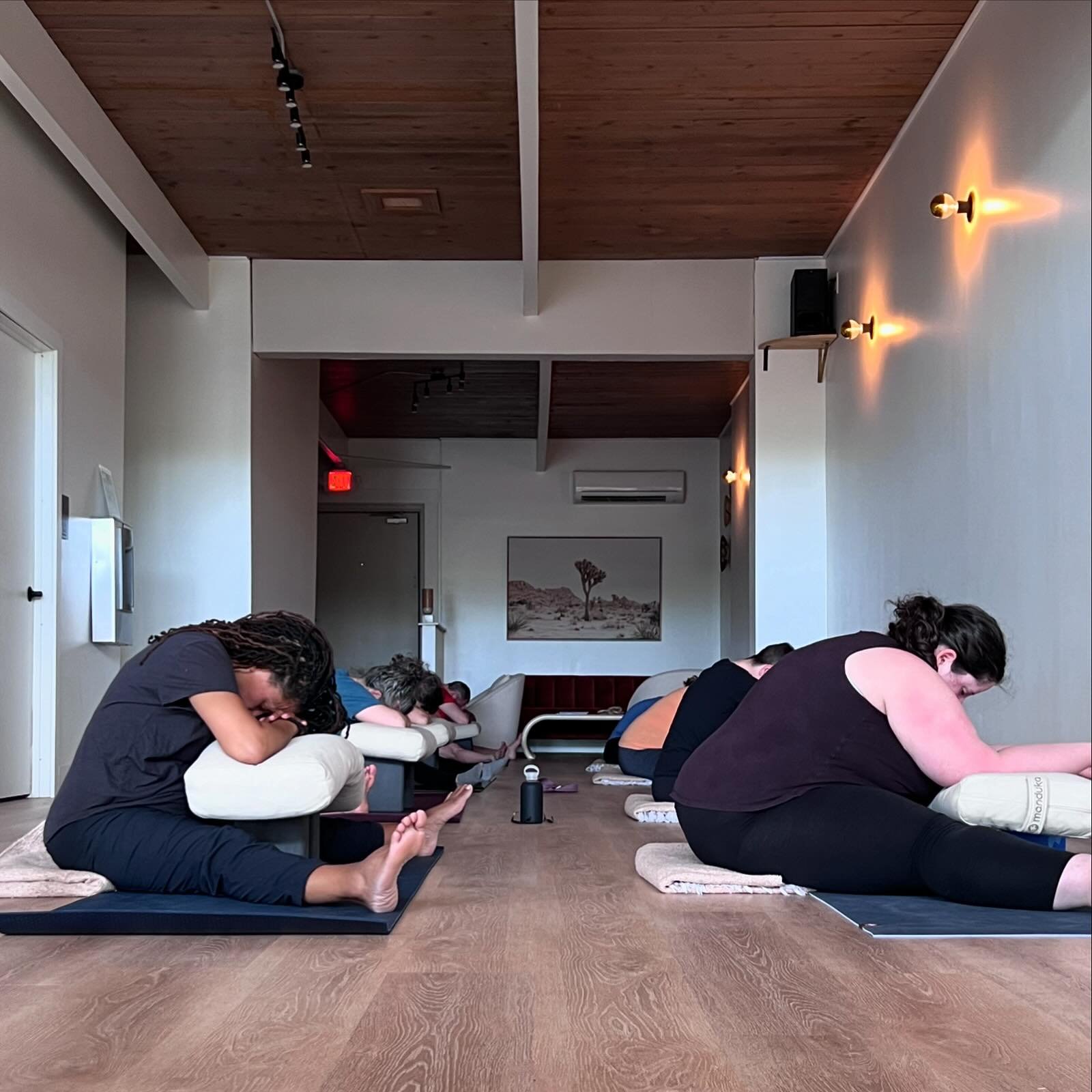 At Zion Well we have a variety of class for all of your needs. Slow Restorative classes like Yin, Restore, Release + Breathe and Meditation. Grounding and stabilizing classes like Slow Vinyasa, Hatha and Yinyasa. Challenging, energizing and playful c