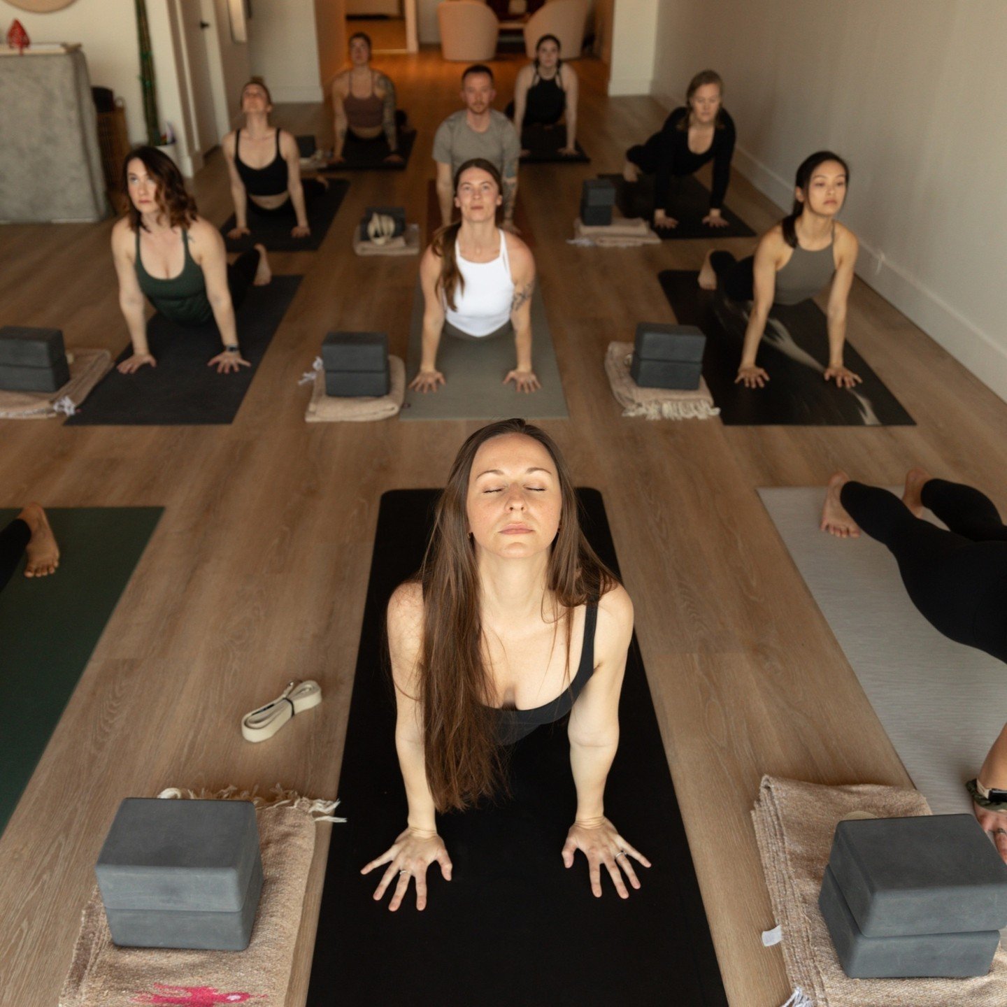 Let's all take a moment to appreciate our incredible ZW instructors who cultivate a welcoming and supportive community. We wouldn't be where we are today without their guidance and dedication to the practice of yoga. 💜

Our instructors bring unique 