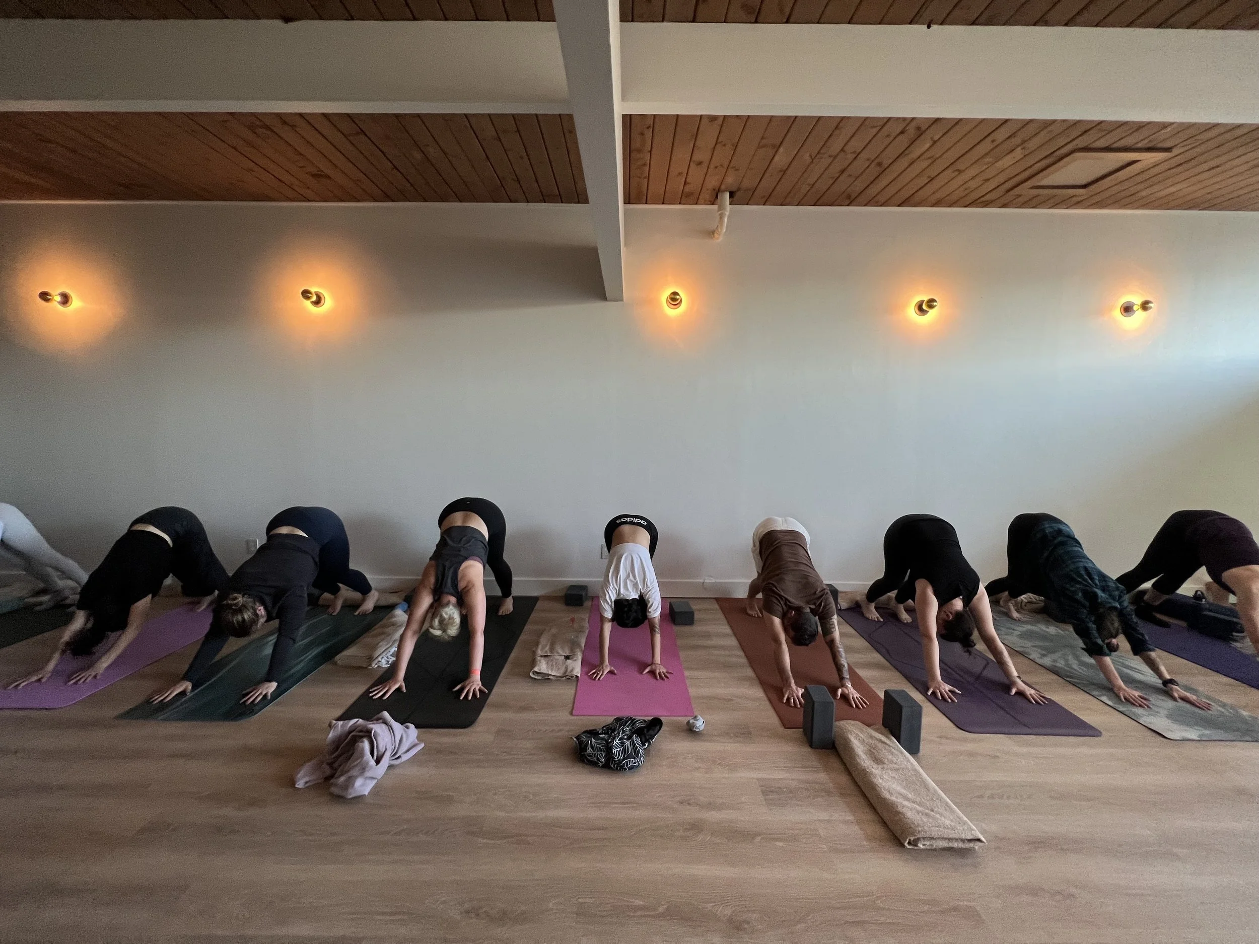 The Ark Schedule Ann Arbor