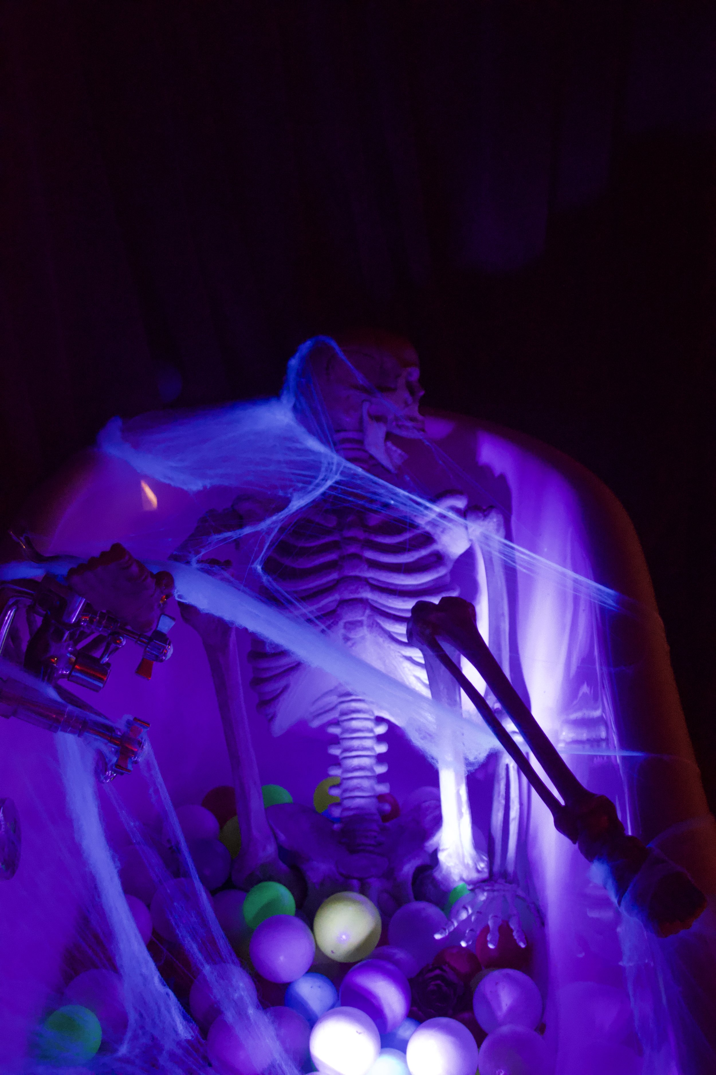 _DSC3203.jpeg