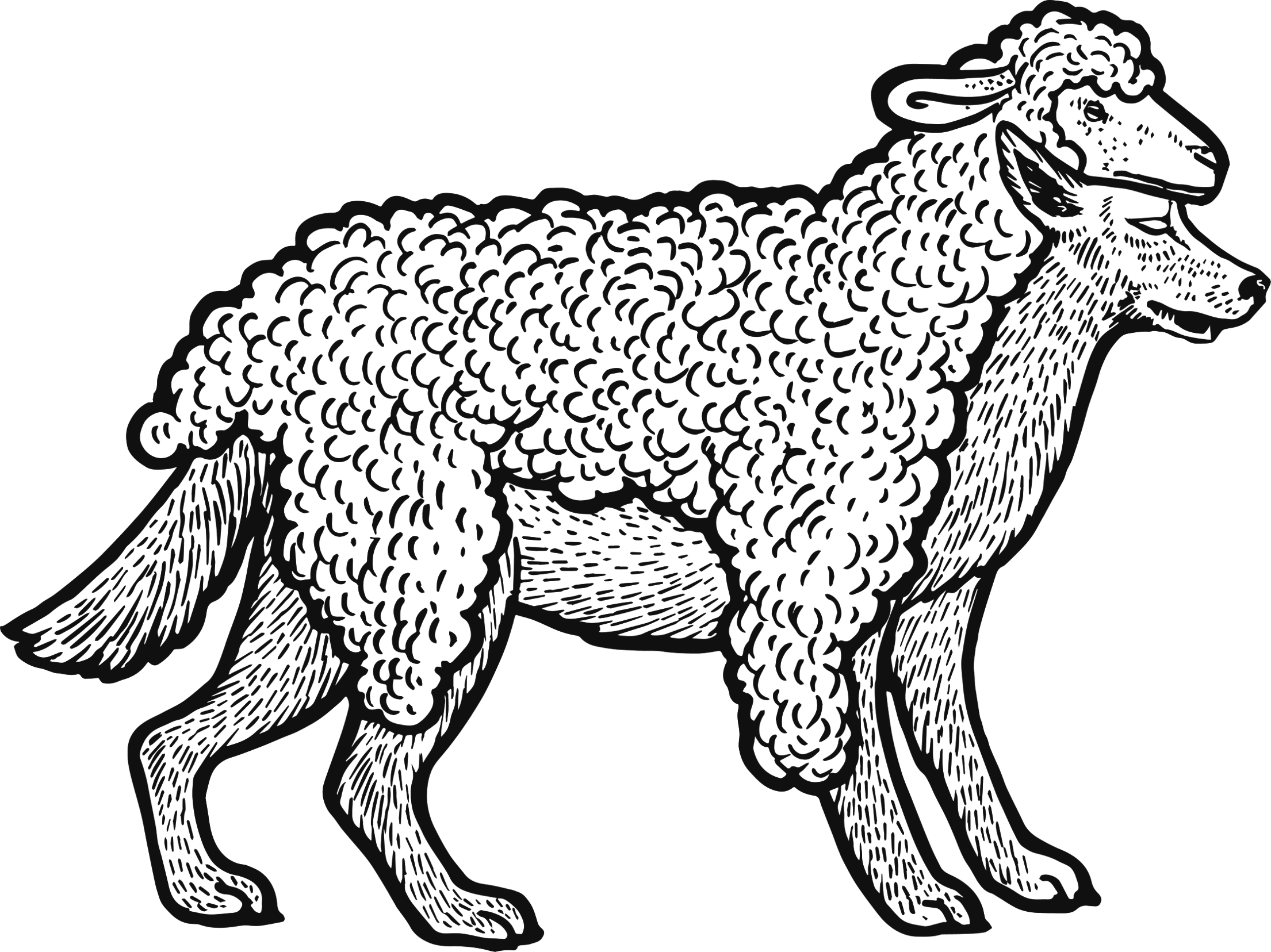 Illustration of a sheep with a dog head in black and white.