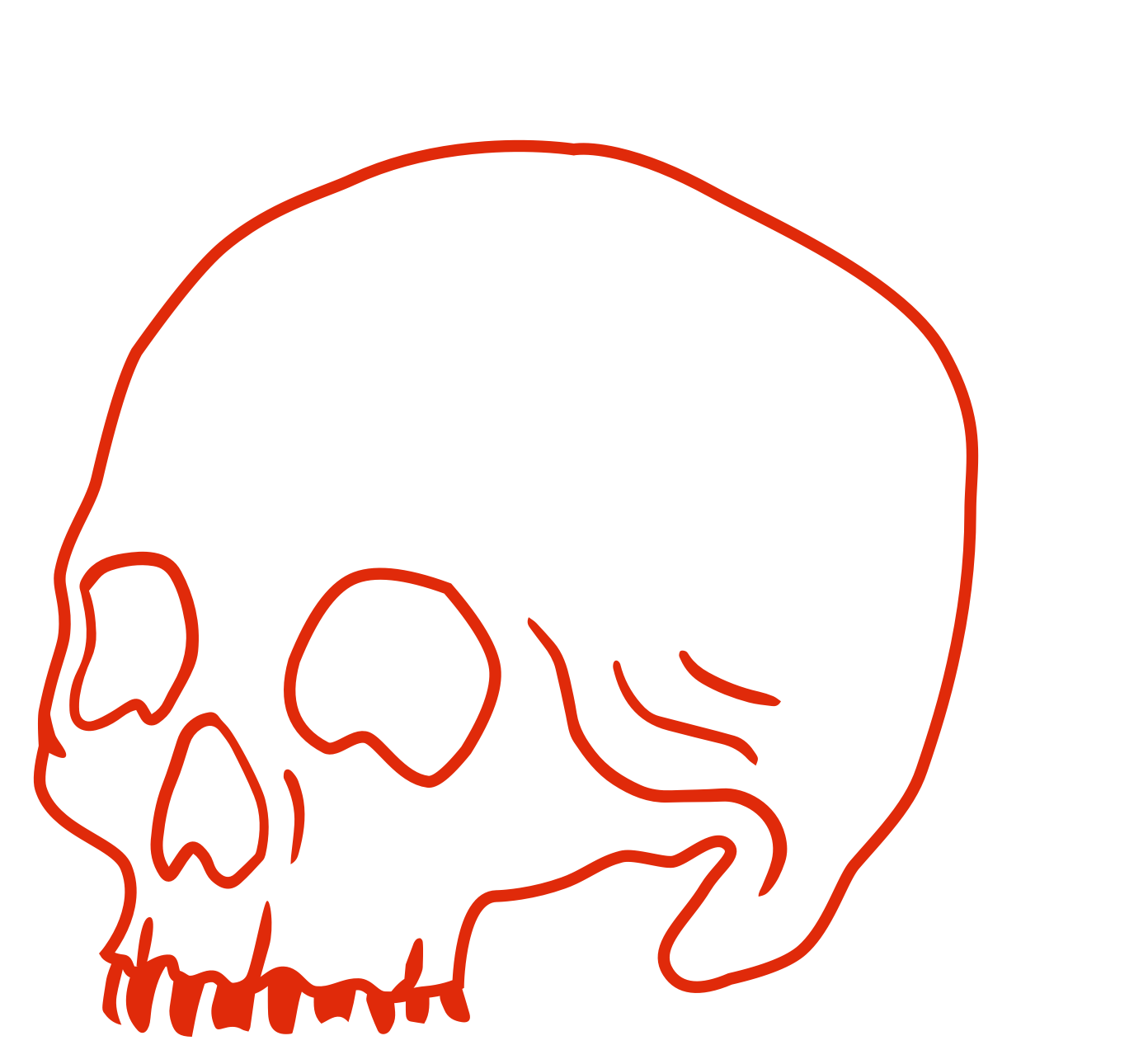 Red outline of a human skull with internal details on a black background.